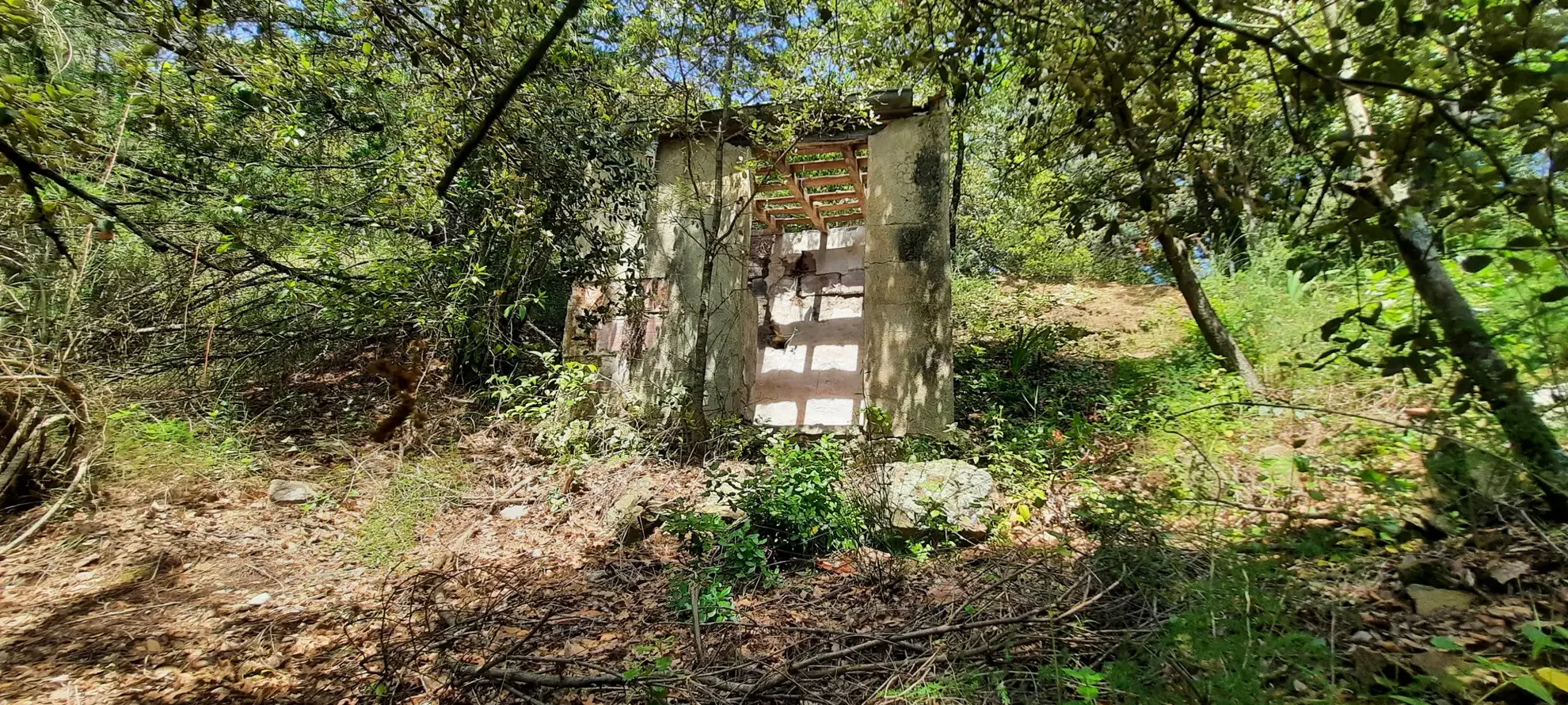 Terrain de loisir boisé à Reynes de 17 646 m² avec vue dégagée et accès facile 