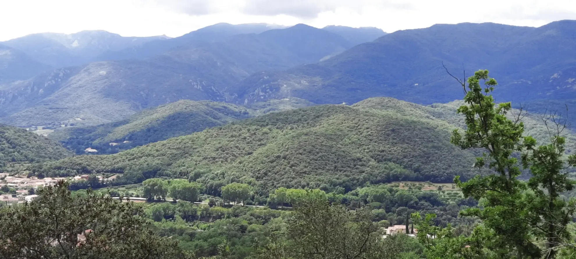 Terrain de loisir boisé à Reynes de 17 646 m² avec vue dégagée et accès facile 