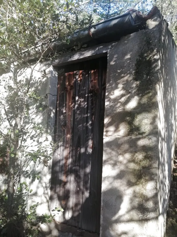 Terrain de loisir boisé à Reynes de 17 646 m² avec vue dégagée et accès facile 