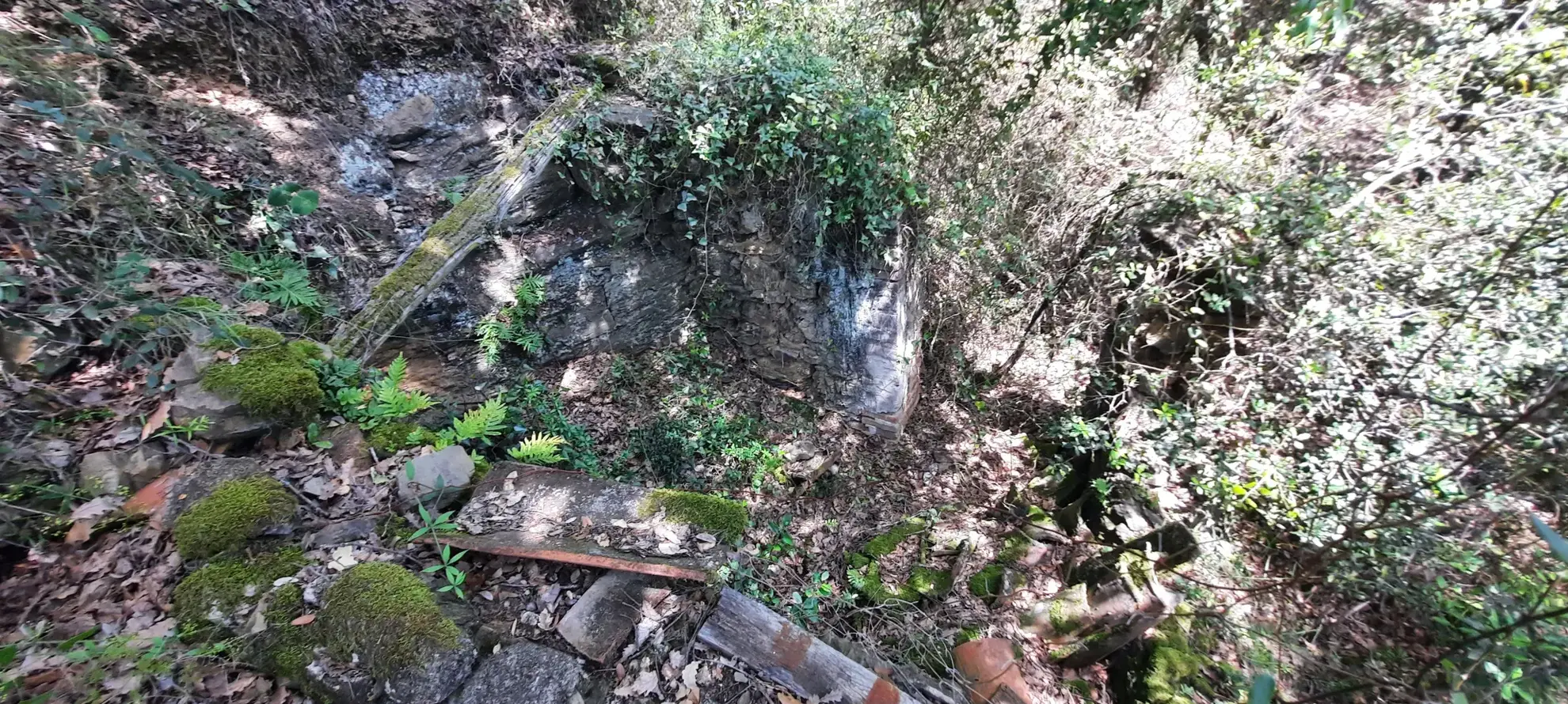 Terrain de loisir boisé à Reynes de 17 646 m² avec vue dégagée et accès facile 