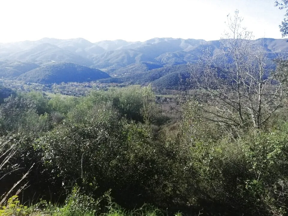 Terrain de loisir boisé à Reynes de 17 646 m² avec vue dégagée et accès facile 