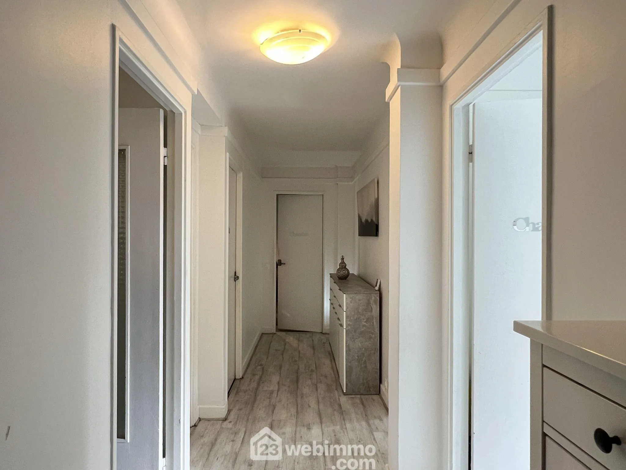 Bel appartement lumineux de 73,34 m² à Choisy-le-Roi face au Parc de la Mairie