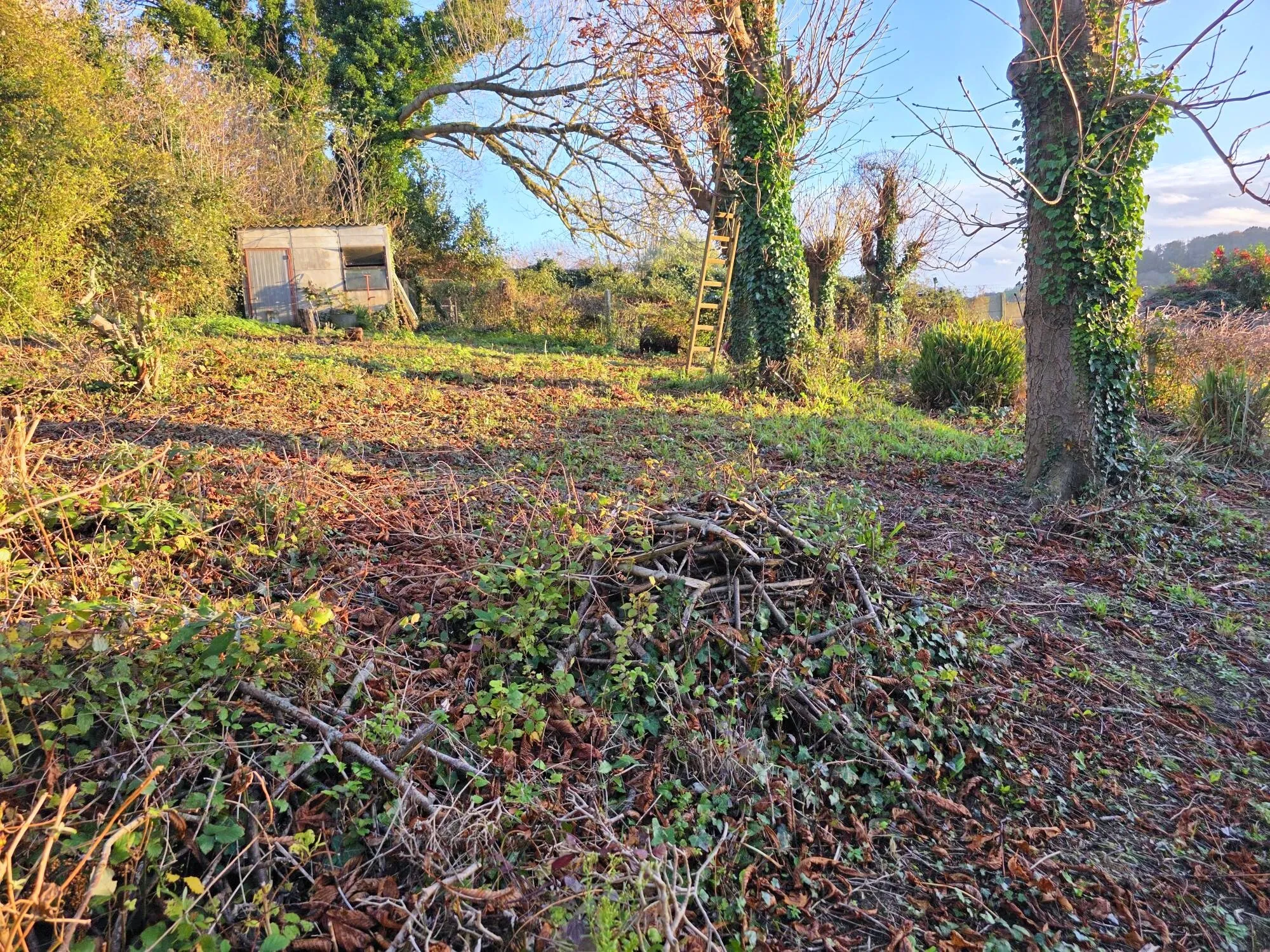 Parcelle de terrain à bâtir avec vue dégagée à Fécamp – idéal famille 
