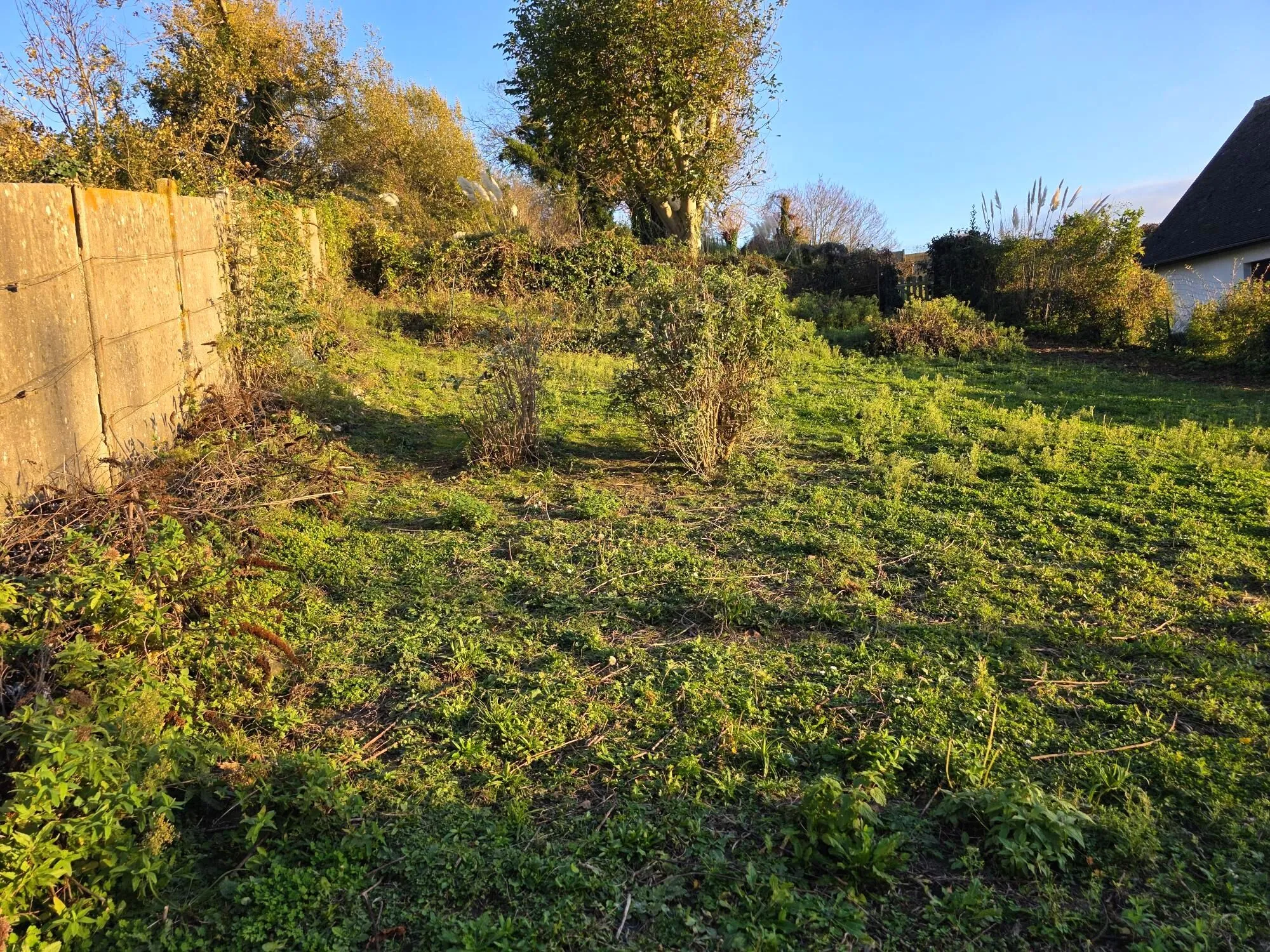 Parcelle de terrain à bâtir avec vue dégagée à Fécamp – idéal famille 