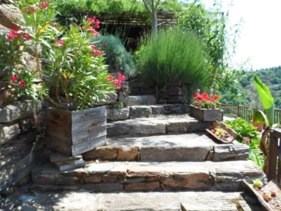 Maison médiévale rénovée avec dépendances et 12 ha de terrain à Lavinzelle, Conques 