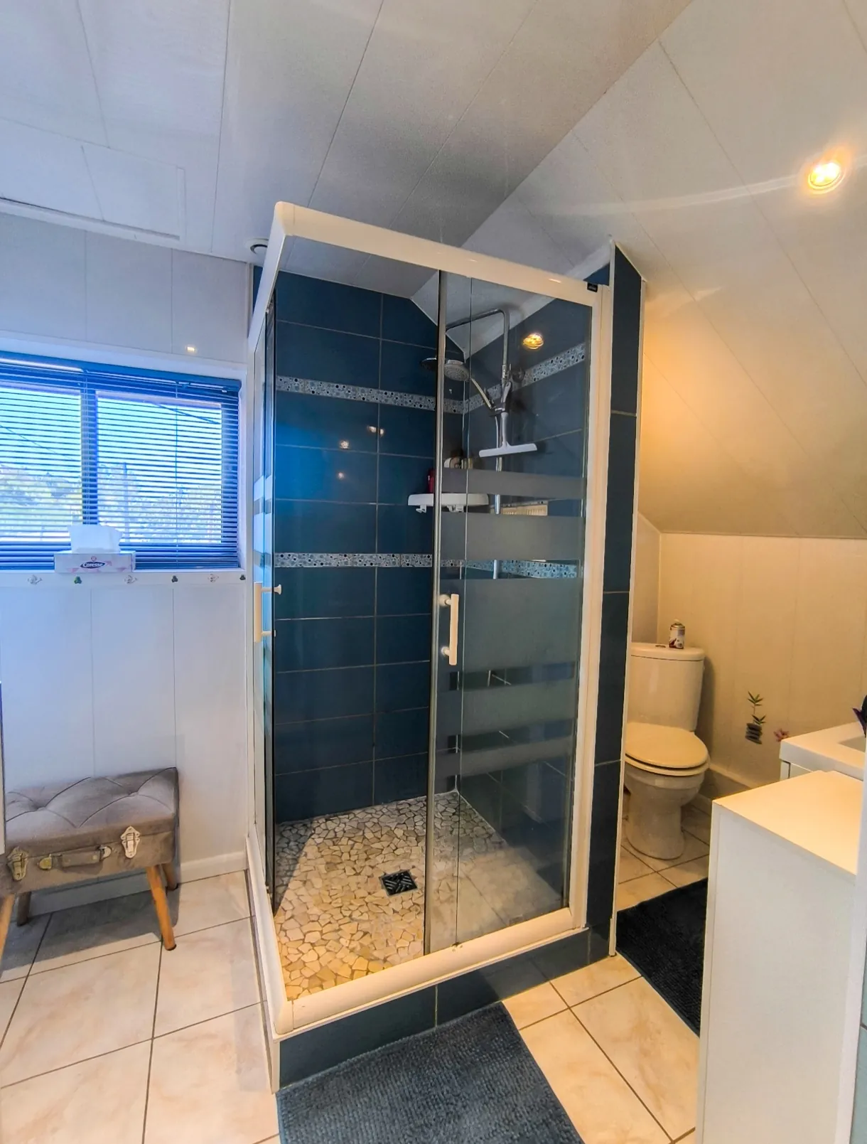 Maison 5 pièces lumineuse à Château-Thierry – 117 m² avec jardin et dépendance 