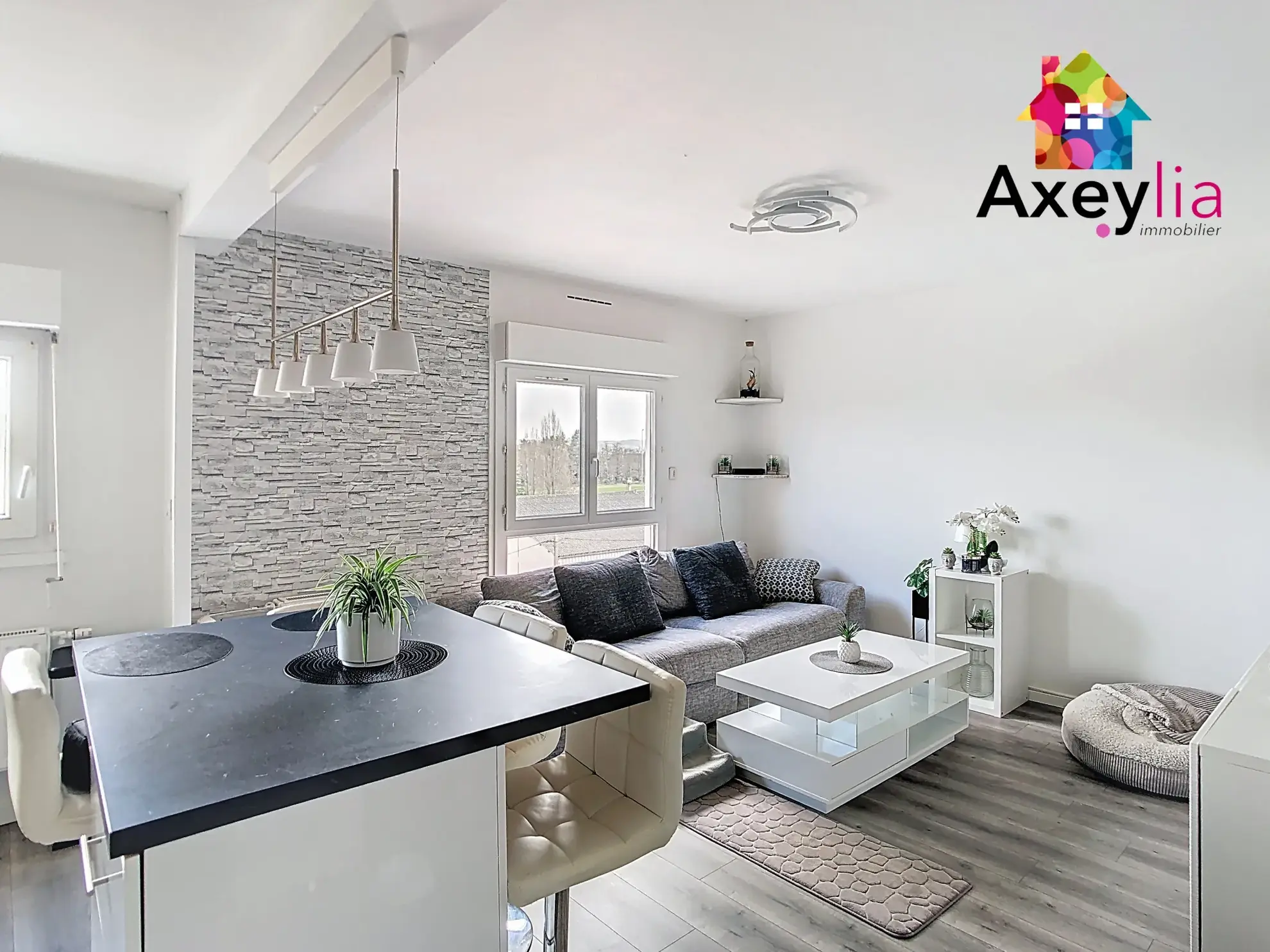 Appartement T3 lumineux avec cave et parking à Roanne (42300) 