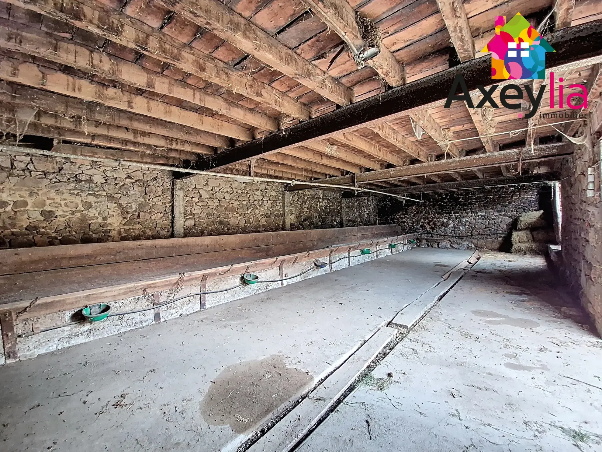 Ferme en pierre à restaurer à Ecoché près de Chauffailles - Terrain et dépendances 