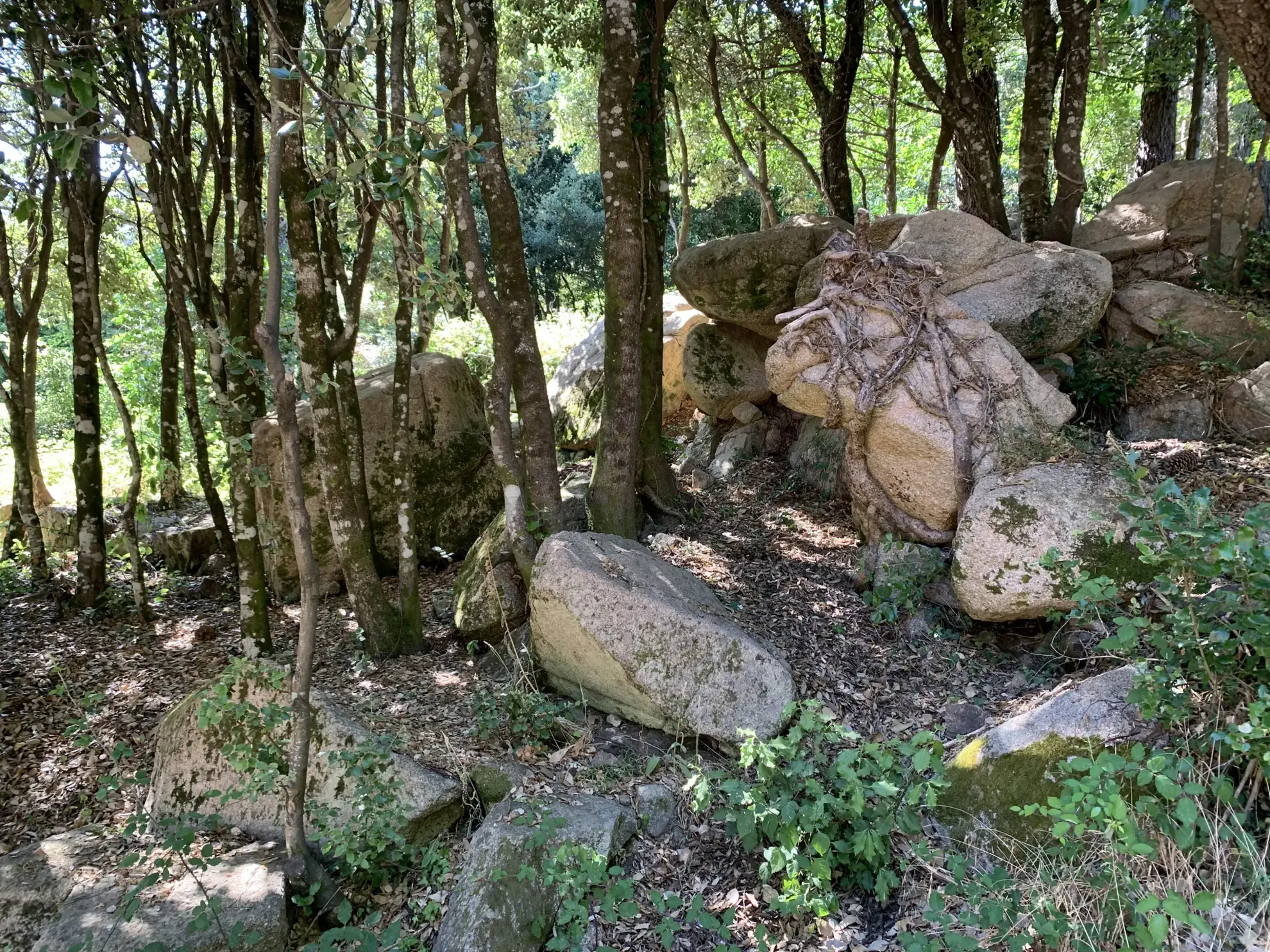 Magnifique terrain constructible au cœur du village de l'Ospédale en Corse 