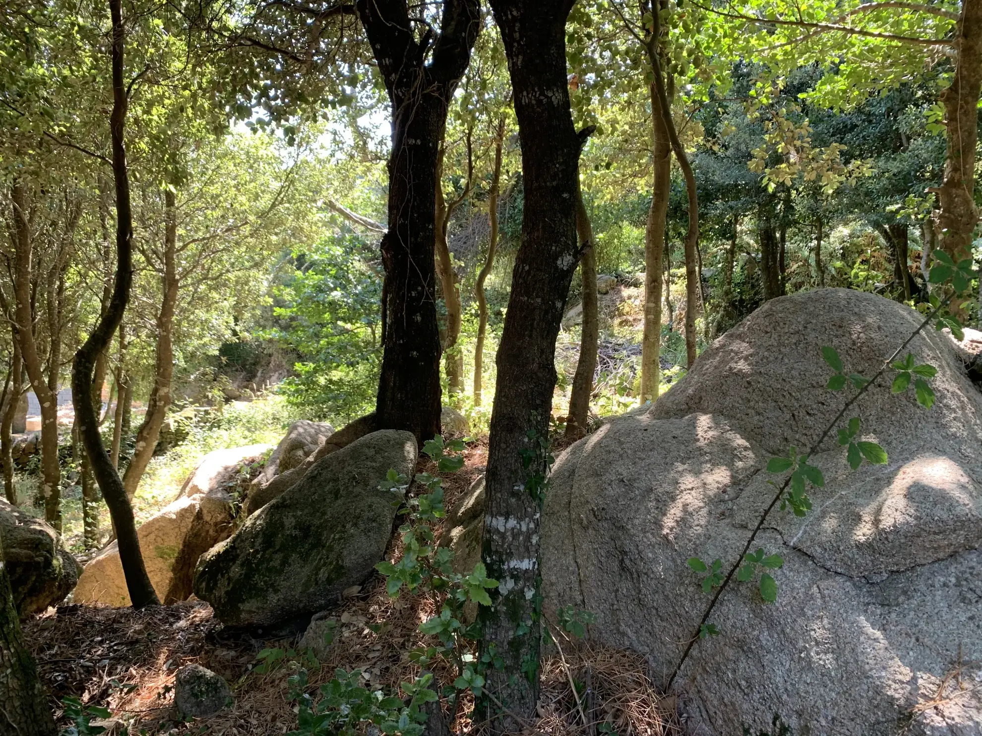 Magnifique terrain constructible au cœur du village de l'Ospédale en Corse