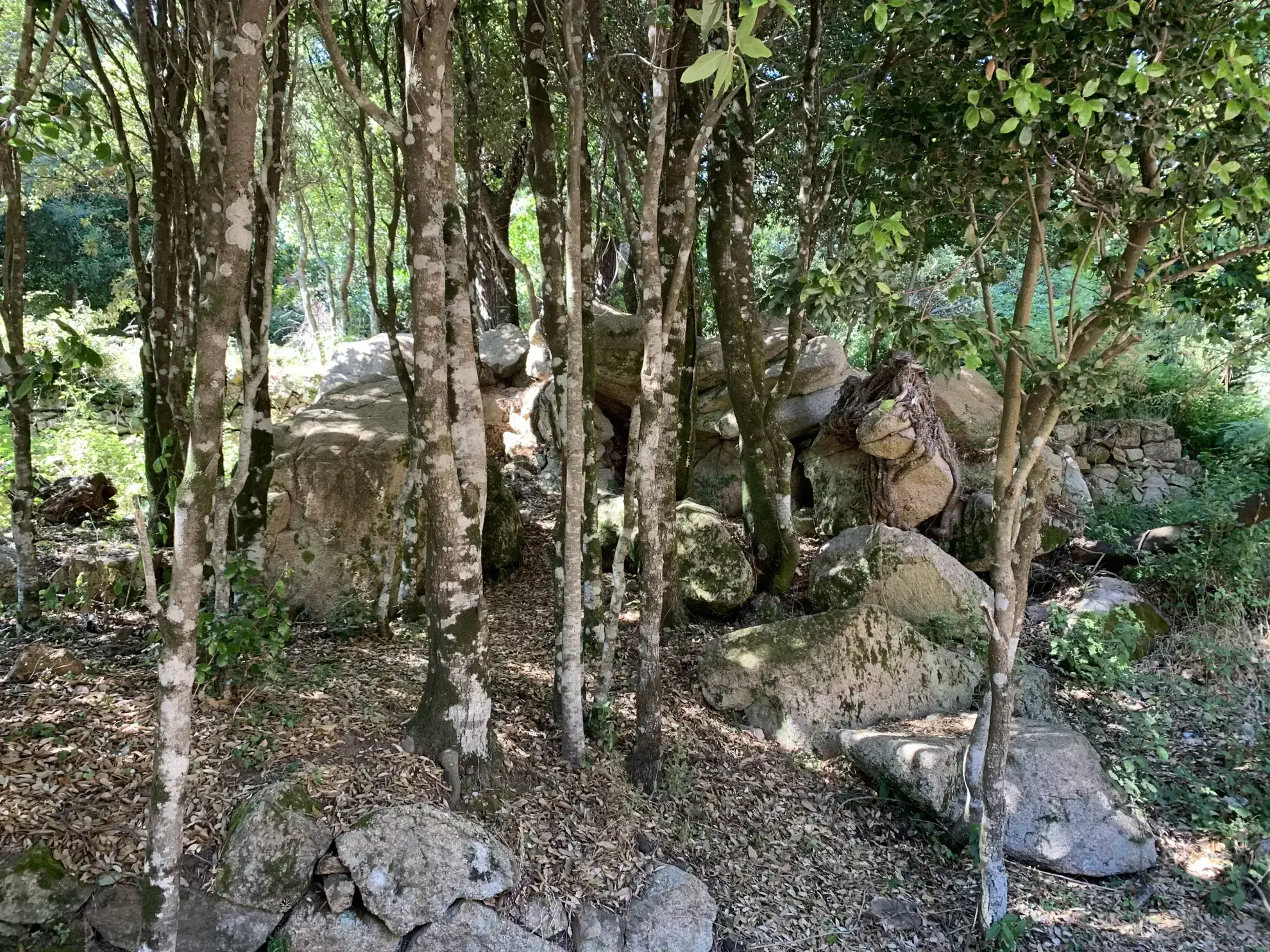 Magnifique terrain constructible au cœur du village de l'Ospédale en Corse 