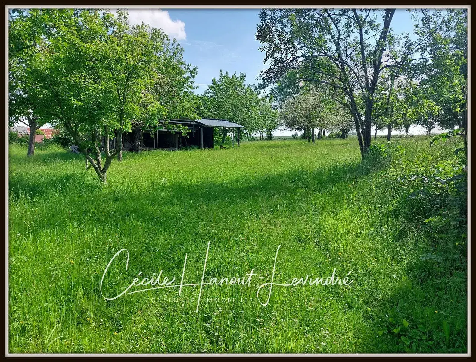 Propriété en pierre avec dépendances et grand terrain à Pleine-Fougères, 15 min du Mont-Saint-Michel 