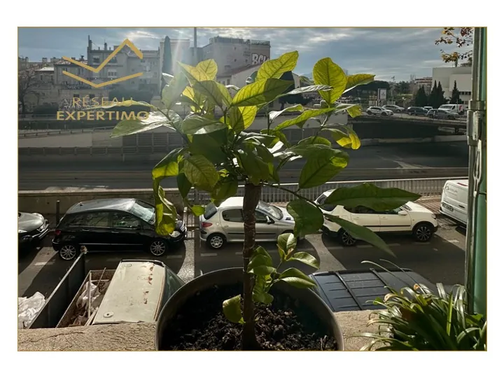 Appartement traversant de 45 m² avec cave à Marseille, proche du Parc du 26e Centenaire