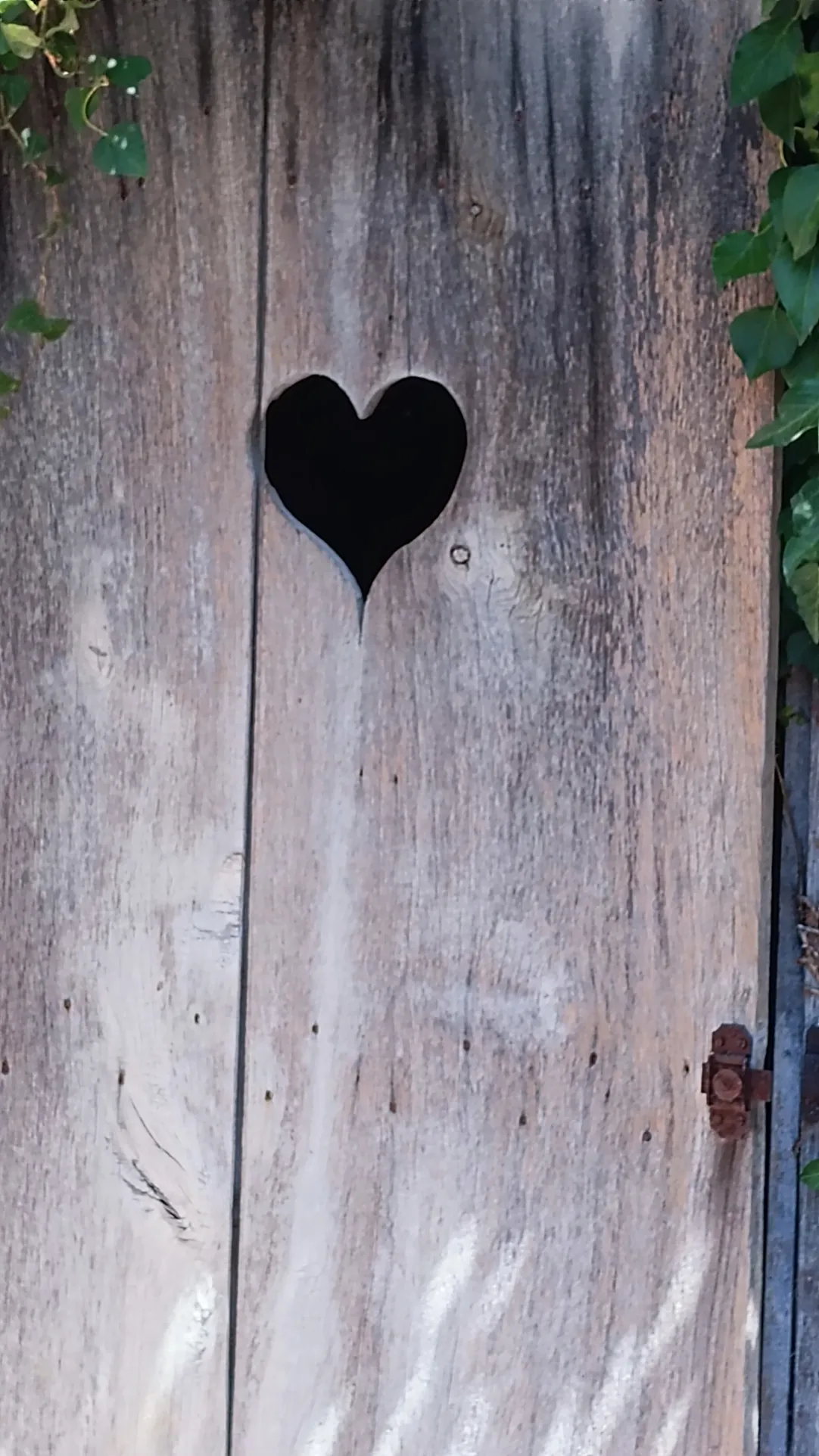 Belle maison en pierre avec piscine, 4 chambres, proche Périgueux 