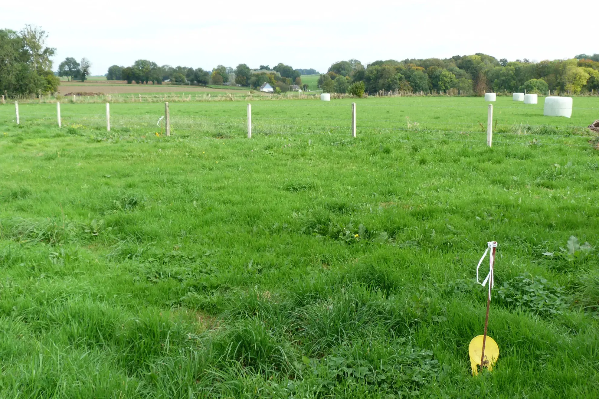 Terrain à bâtir de 1252 m² à Duclair, vue dégagée, viabilisé 