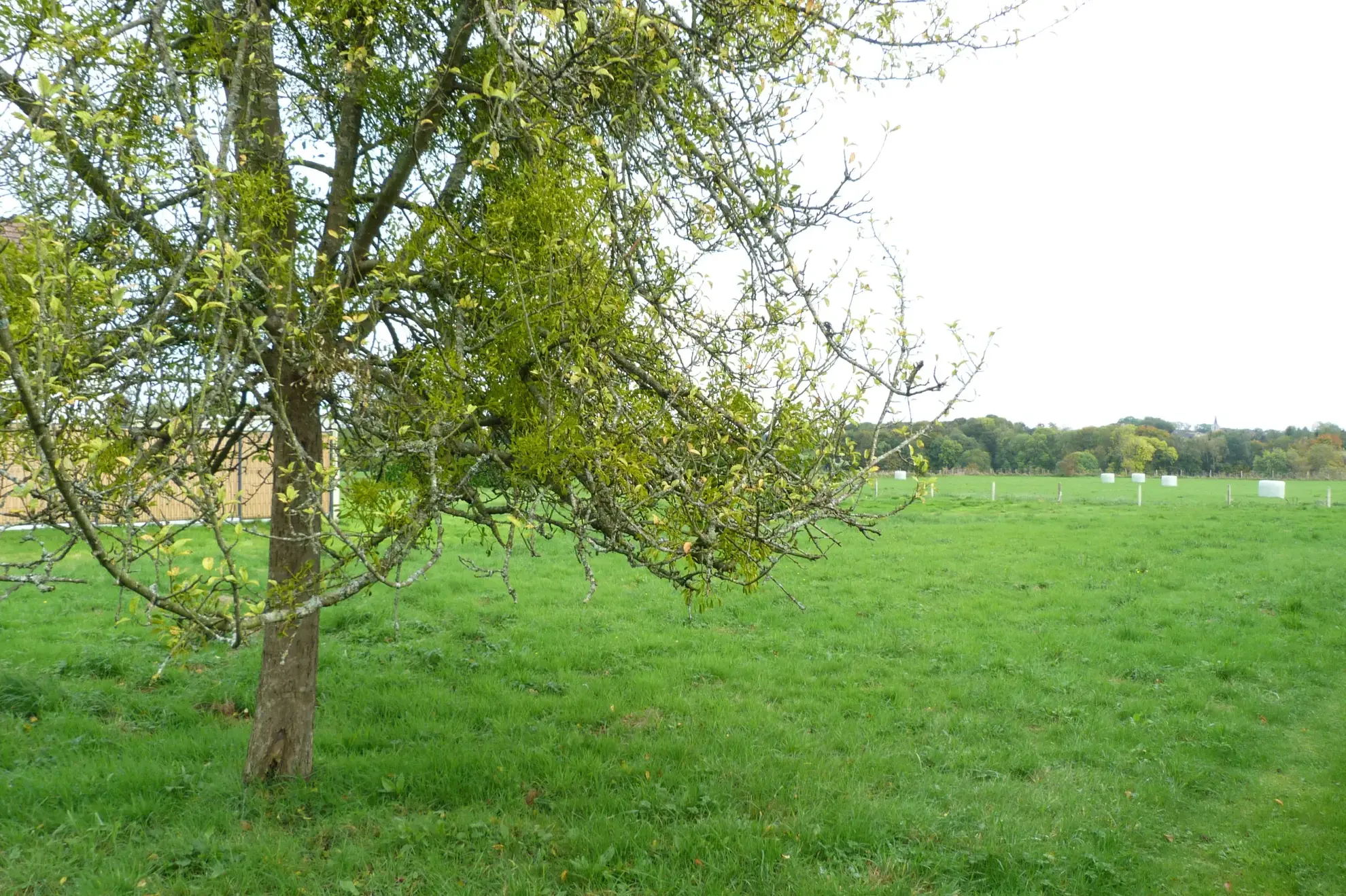 Terrain à bâtir de 1252 m² à Duclair, vue dégagée, viabilisé 