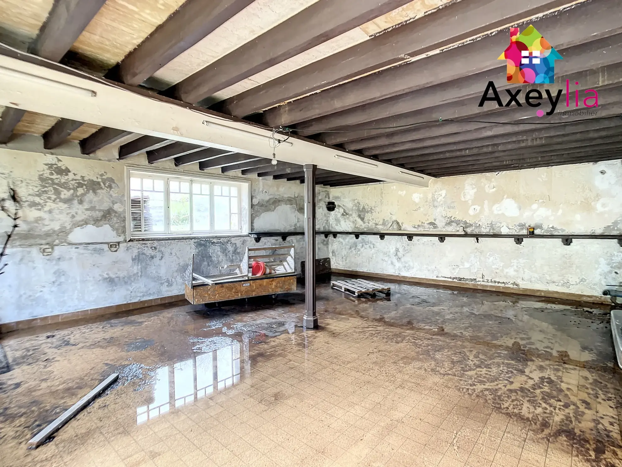 Opportunité à Cuinzier : plateau brut de 150 m² à aménager en duplex avec terrasse et jardin 