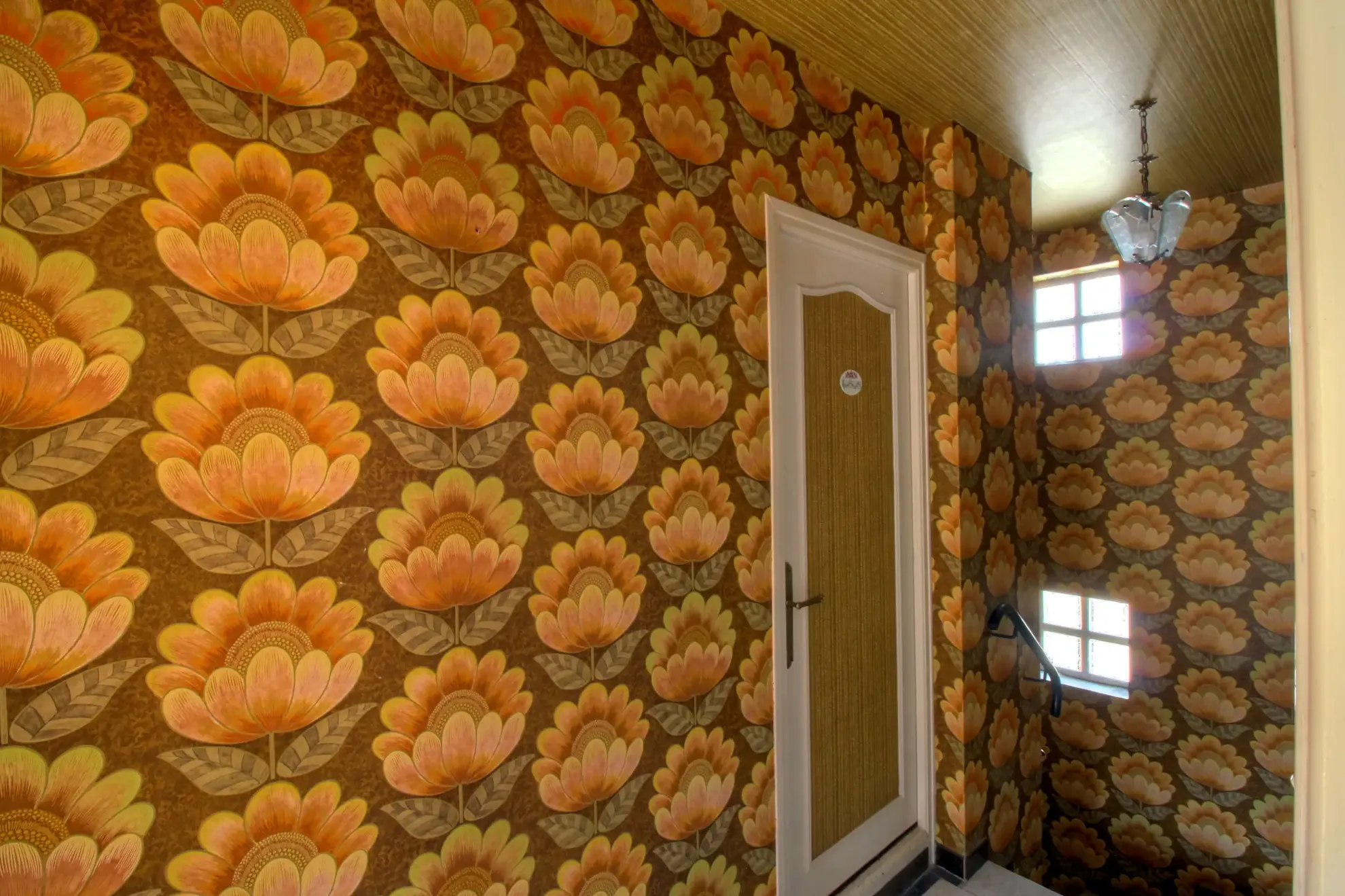 Maison à vendre avec jardin et garage à Villegailhenc, proche Carcassonne 