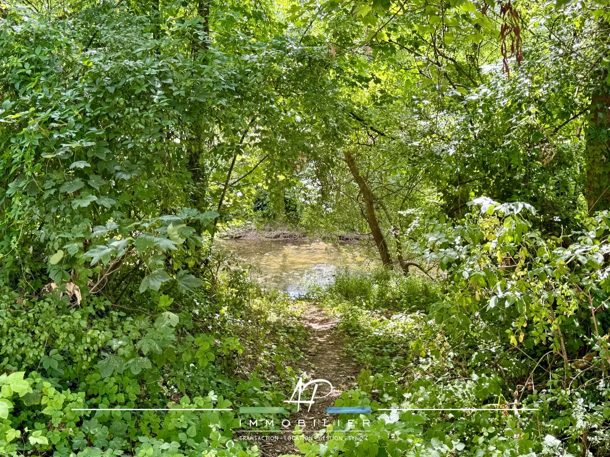 Maison ancienne avec grange et jardin à Beire-le-Châtel 