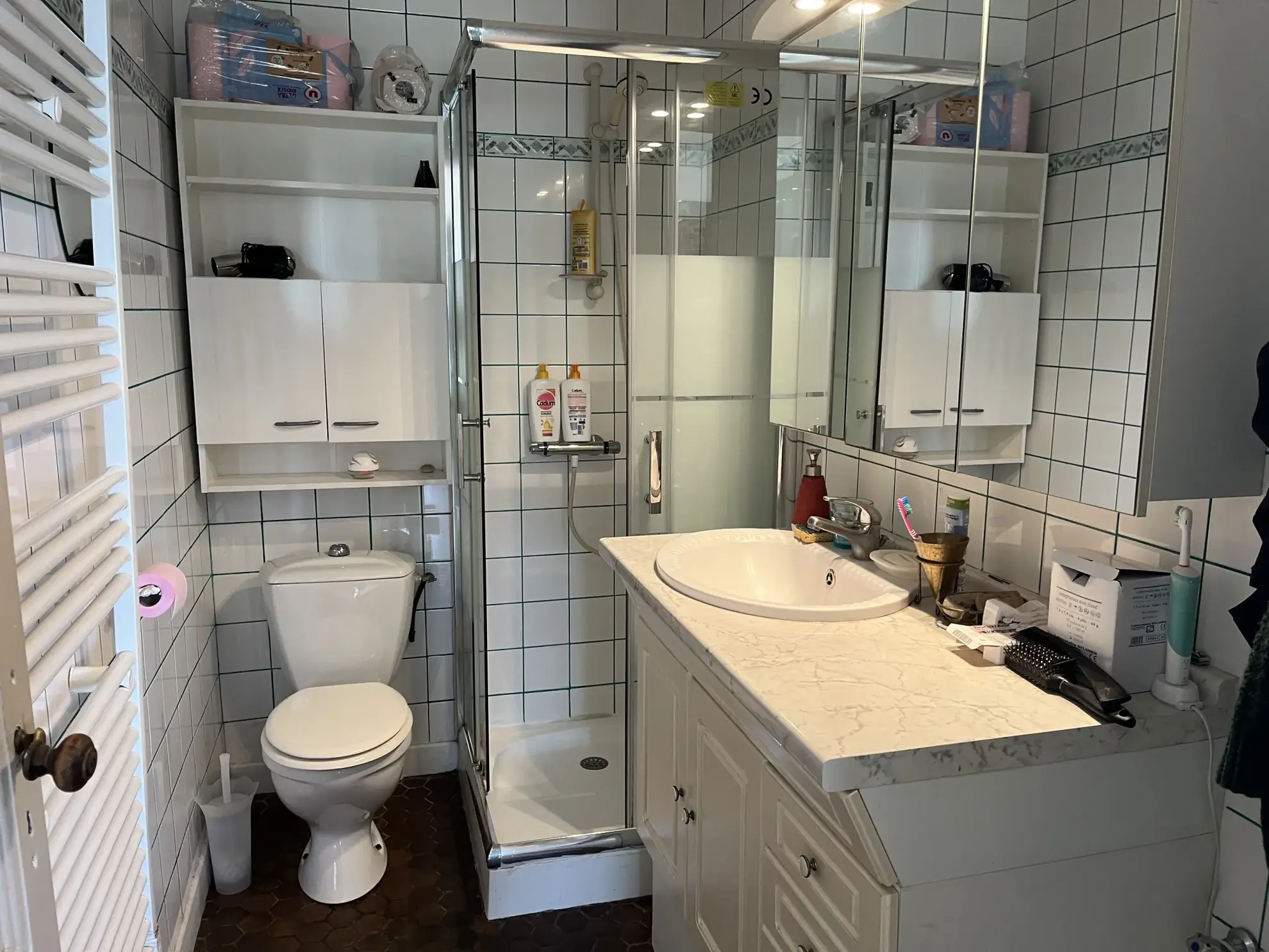 Maison avec dépendances, piscine et panneaux solaires à Captieux 