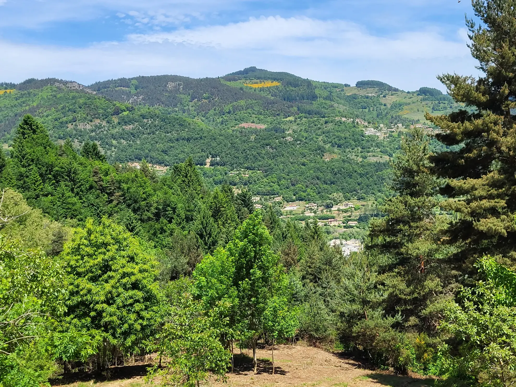 Ferme ancienne à rénover avec 9 hectares près du Cheylard en Ardèche 