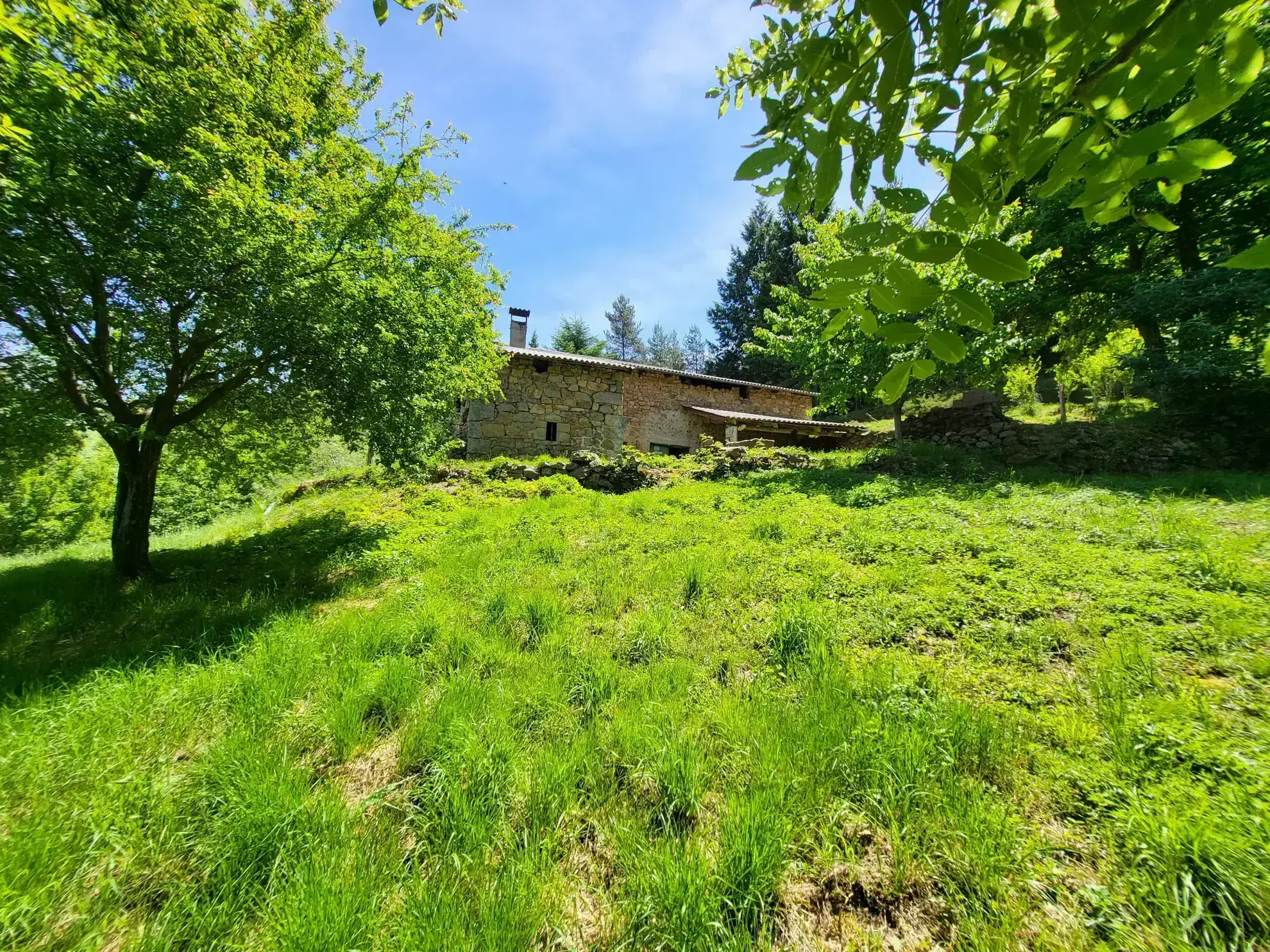 Ferme ancienne à rénover avec 9 hectares près du Cheylard en Ardèche 