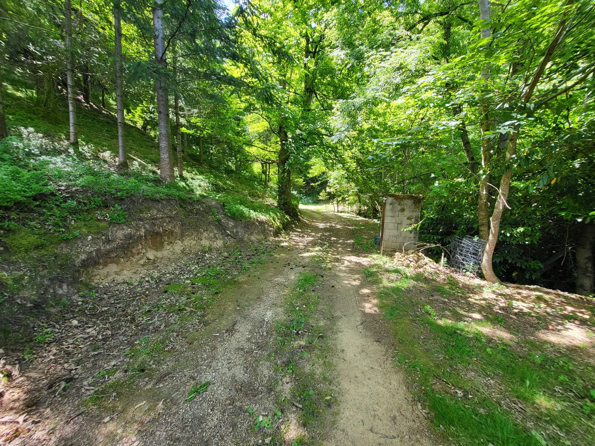 Ferme ancienne à rénover avec 9 hectares près du Cheylard en Ardèche 