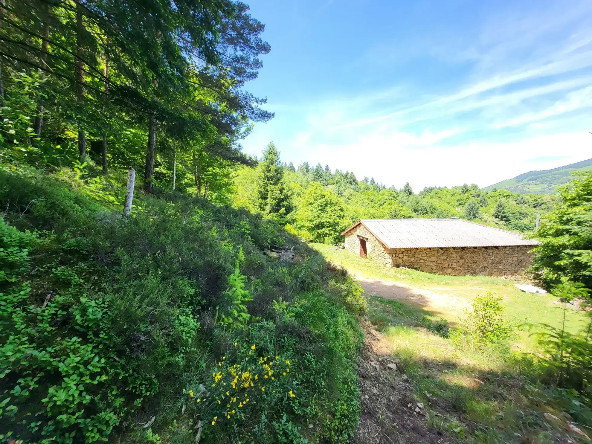 Ferme ancienne à rénover avec 9 hectares près du Cheylard en Ardèche 