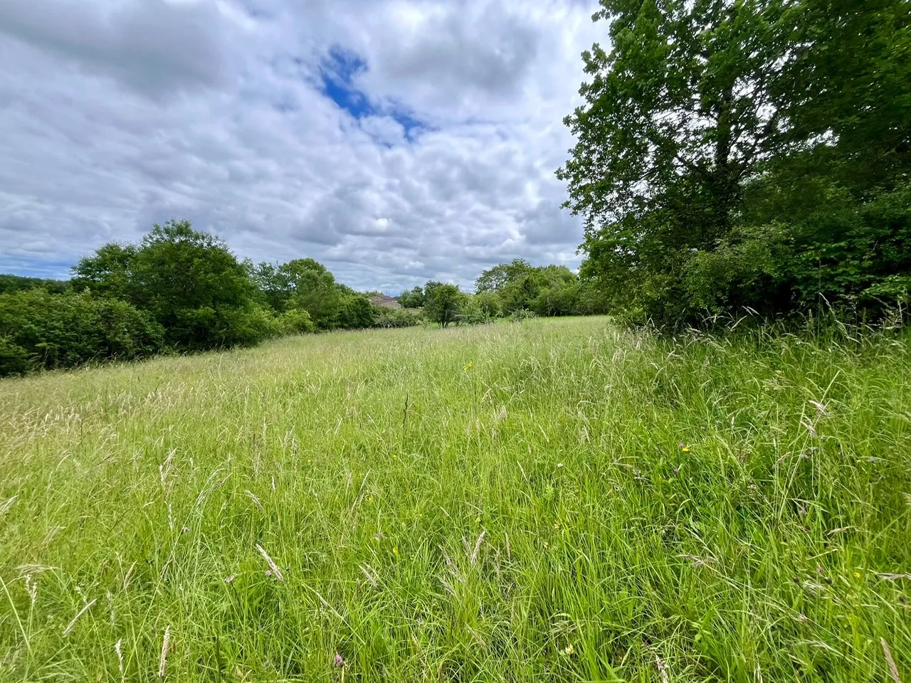 Propriété en Pierre de 130 m² avec 2 Maisons et Terrain en Quercy 
