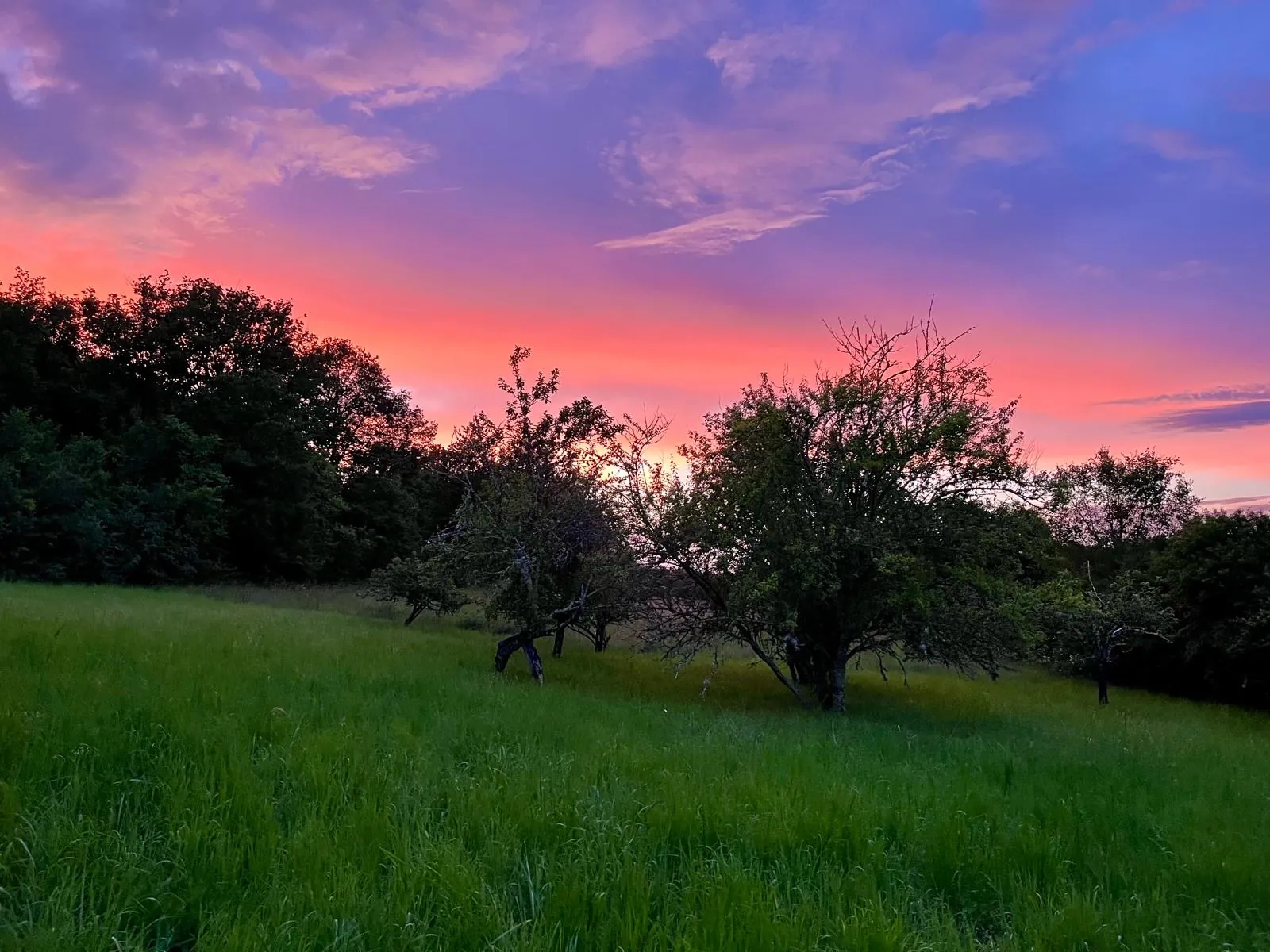Propriété en Pierre de 130 m² avec 2 Maisons et Terrain en Quercy 