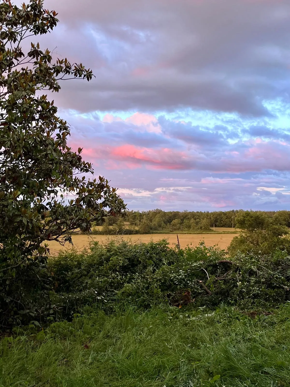 Propriété en Pierre de 130 m² avec 2 Maisons et Terrain en Quercy 