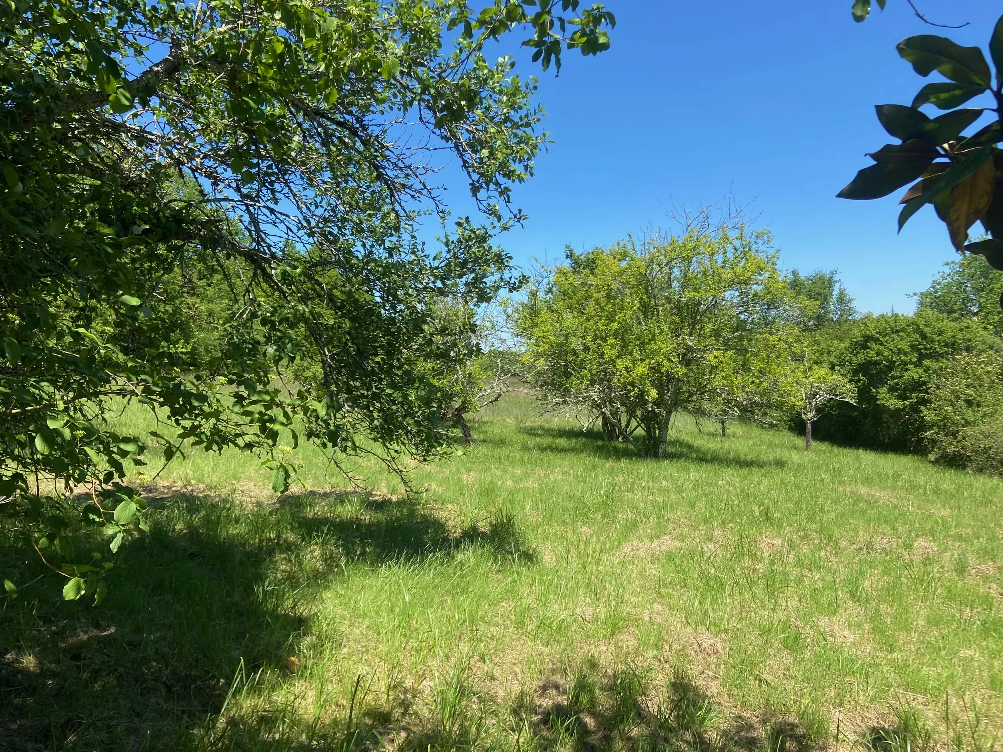 Propriété en Pierre de 130 m² avec 2 Maisons et Terrain en Quercy 
