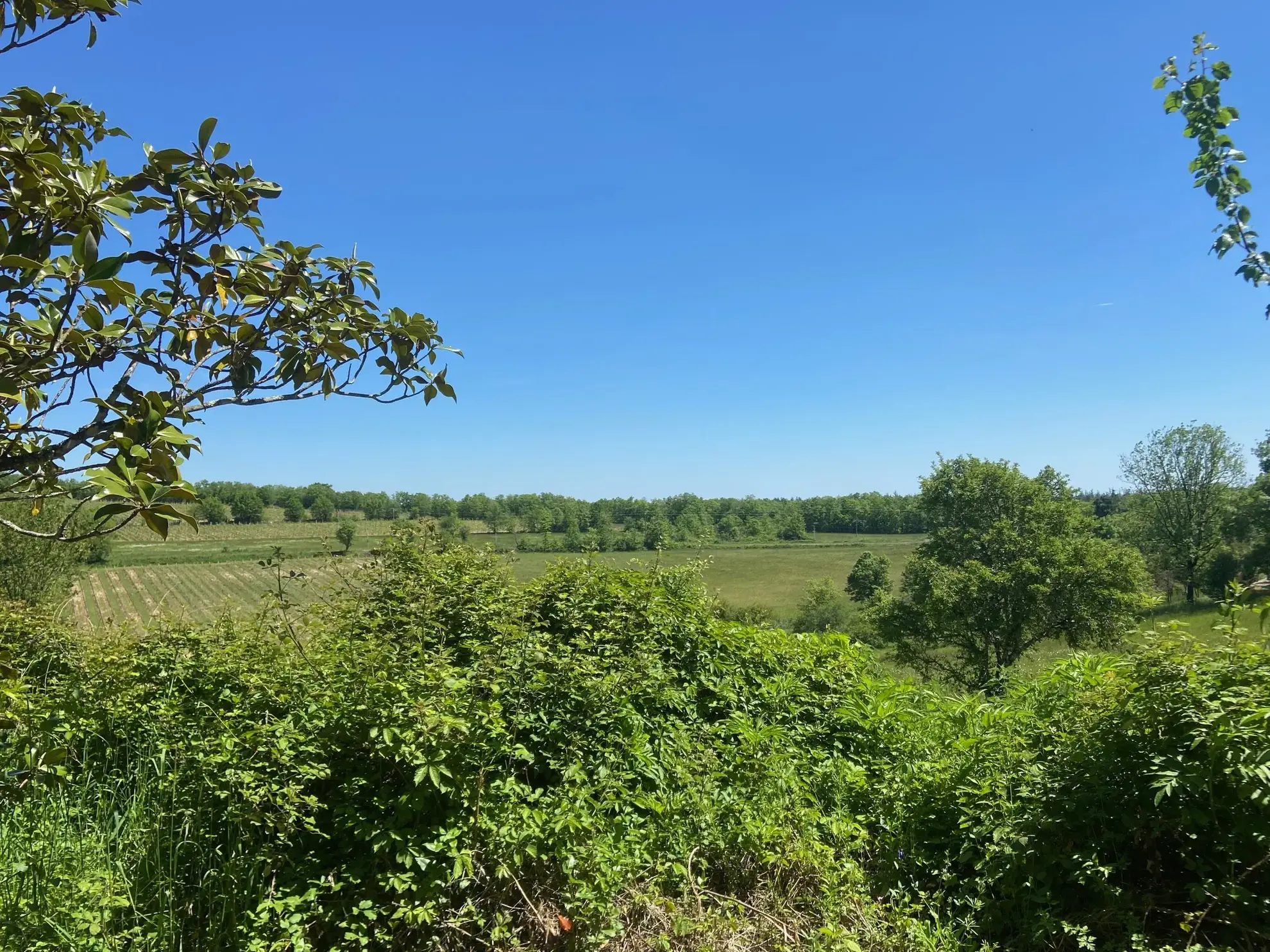 Propriété en Pierre de 130 m² avec 2 Maisons et Terrain en Quercy 