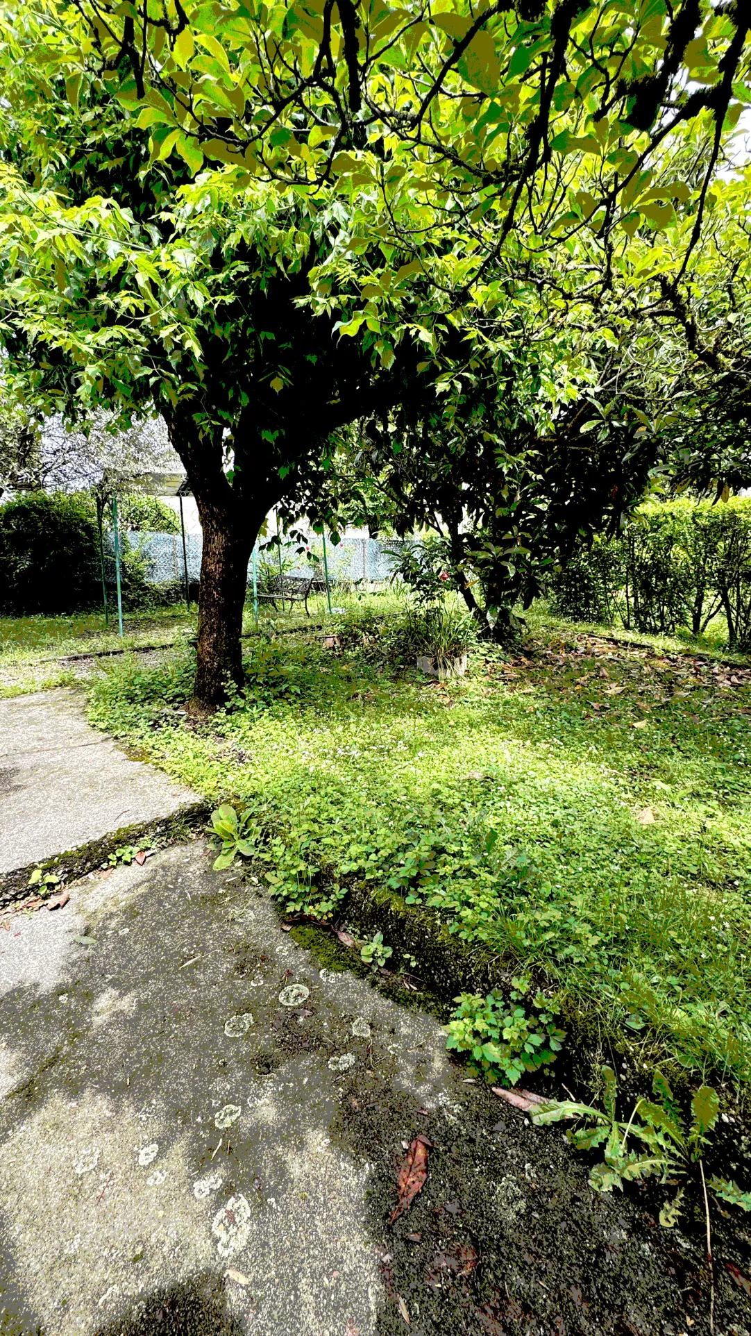 Maison de plain-pied à Froges avec grand jardin et potentiel de rénovation 