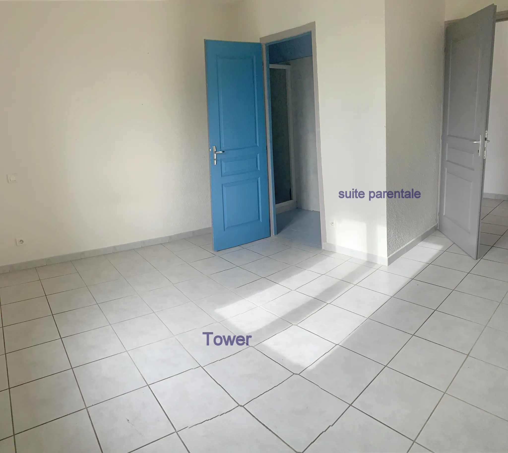 Maison de plain-pied à Thors (17160) — 127 m² avec garage et terrain de 1000 m² 