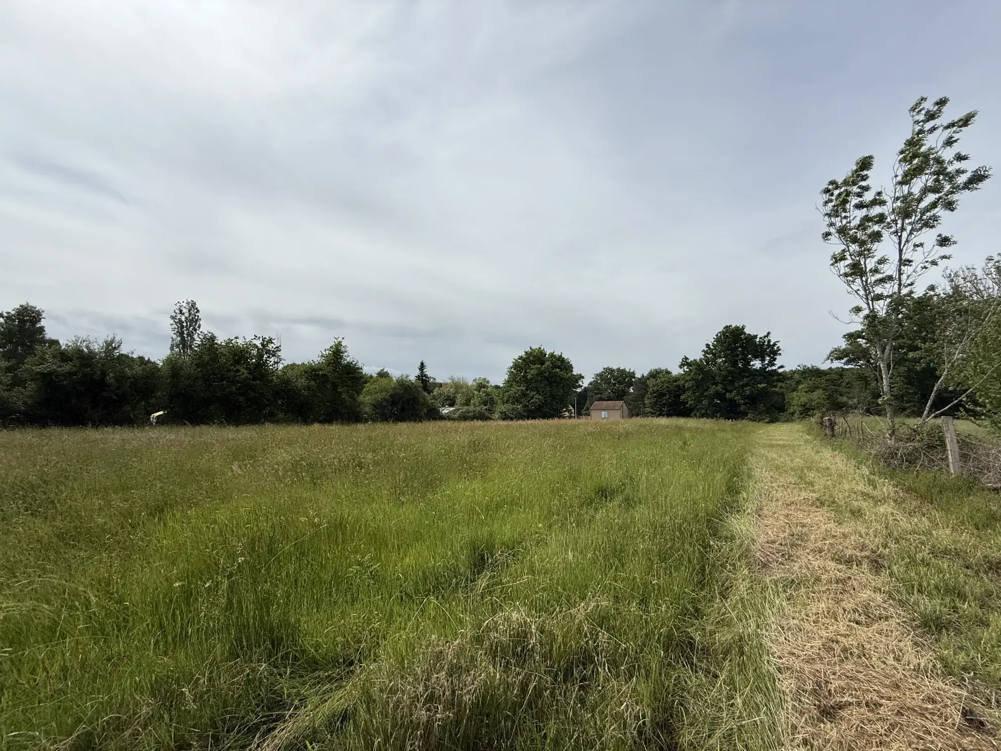 Terrain constructible de 1664 m² à Saint-Priest-Bramefant en campagne