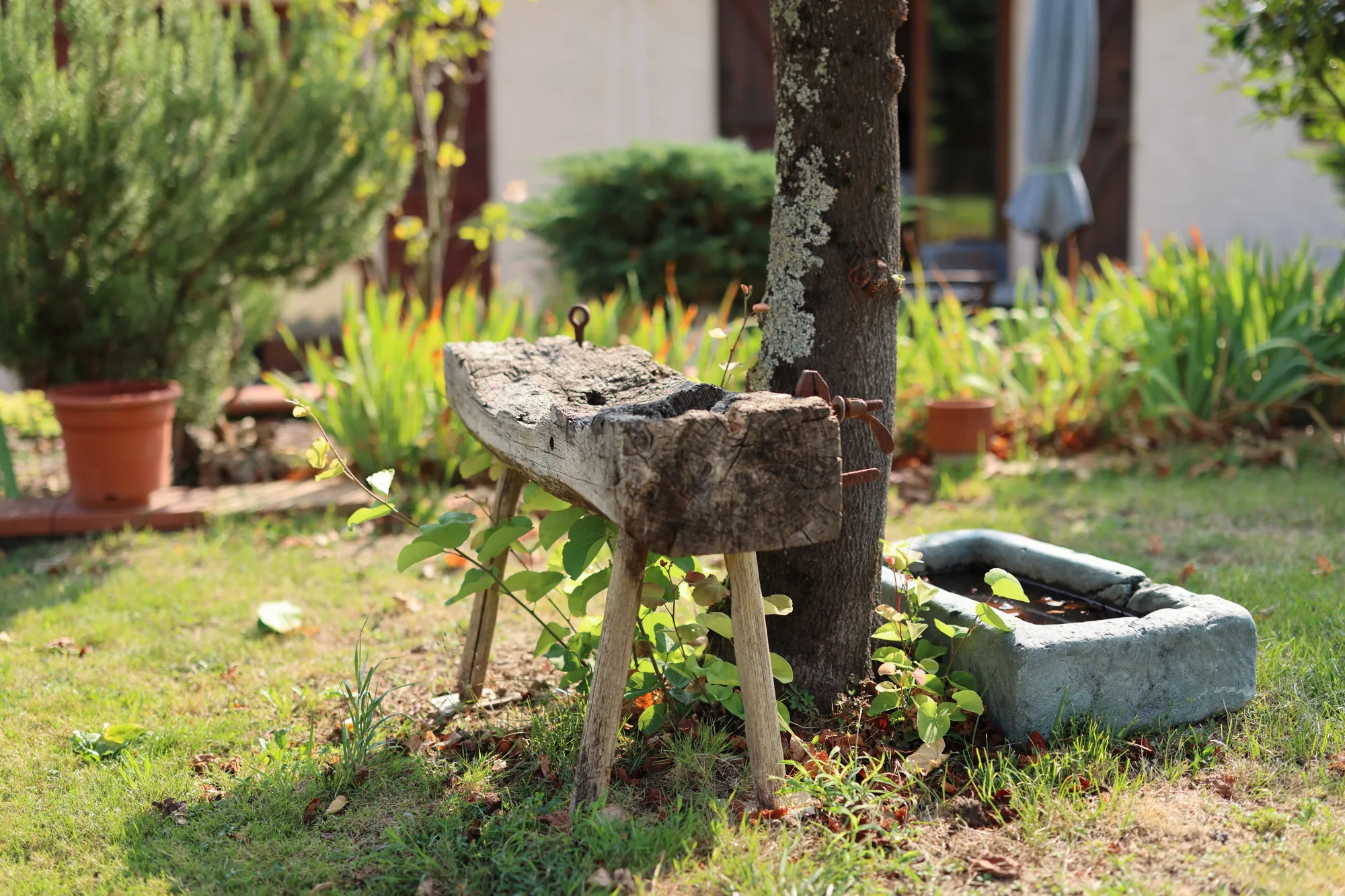 Vente d'un ensemble immobilier avec maison et local d'activités à Grazac 