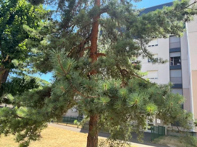 Appartement T4 à Beaumont de 80.99 m² avec cave et box, idéalement situé