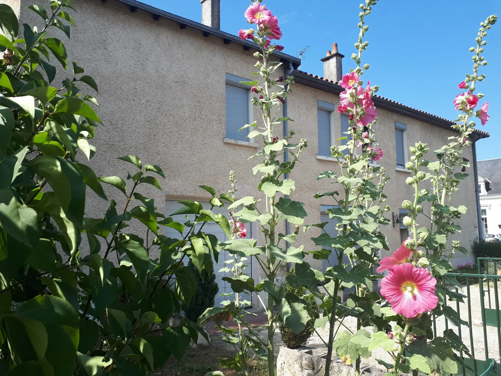 Maison familiale avec jardin, garage et salon cathédrale à Poitiers 