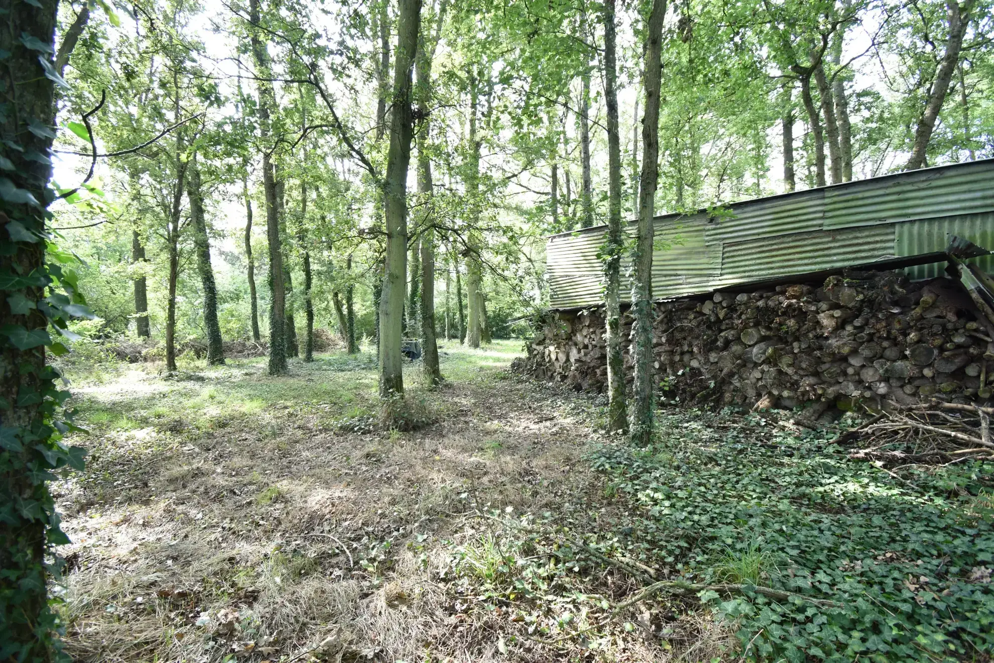 Charmante maison de campagne de 72 m² à Unverre dans un cadre verdoyant 