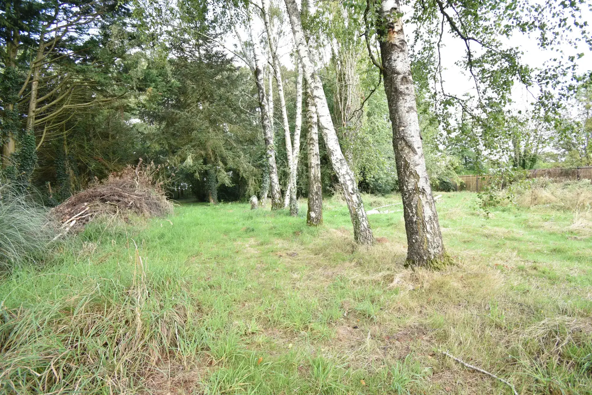 Charmante maison de campagne de 72 m² à Unverre dans un cadre verdoyant 