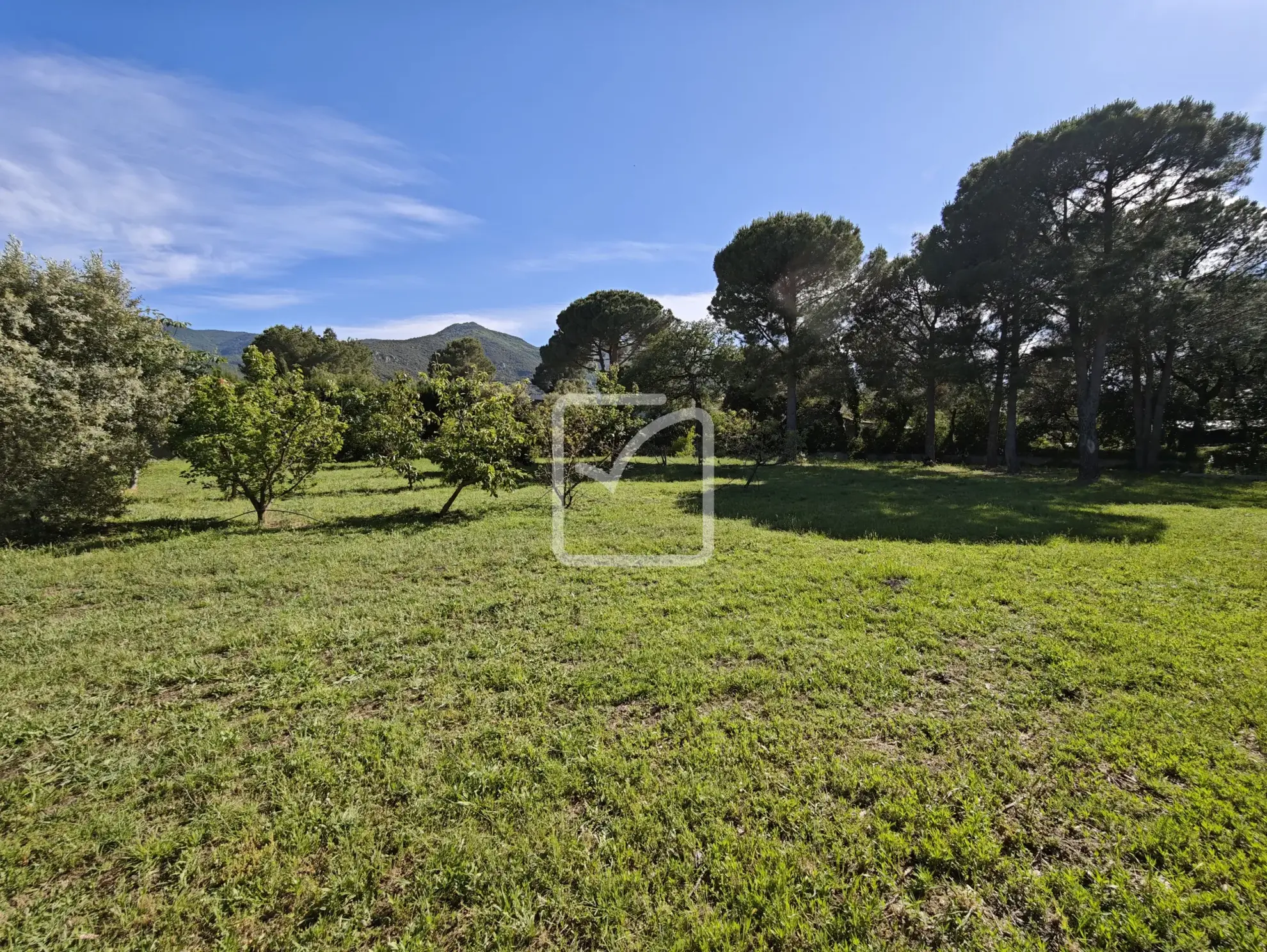 Terrain constructible de 1956 m² avec vue sur les Albères à Laroque des Albères 