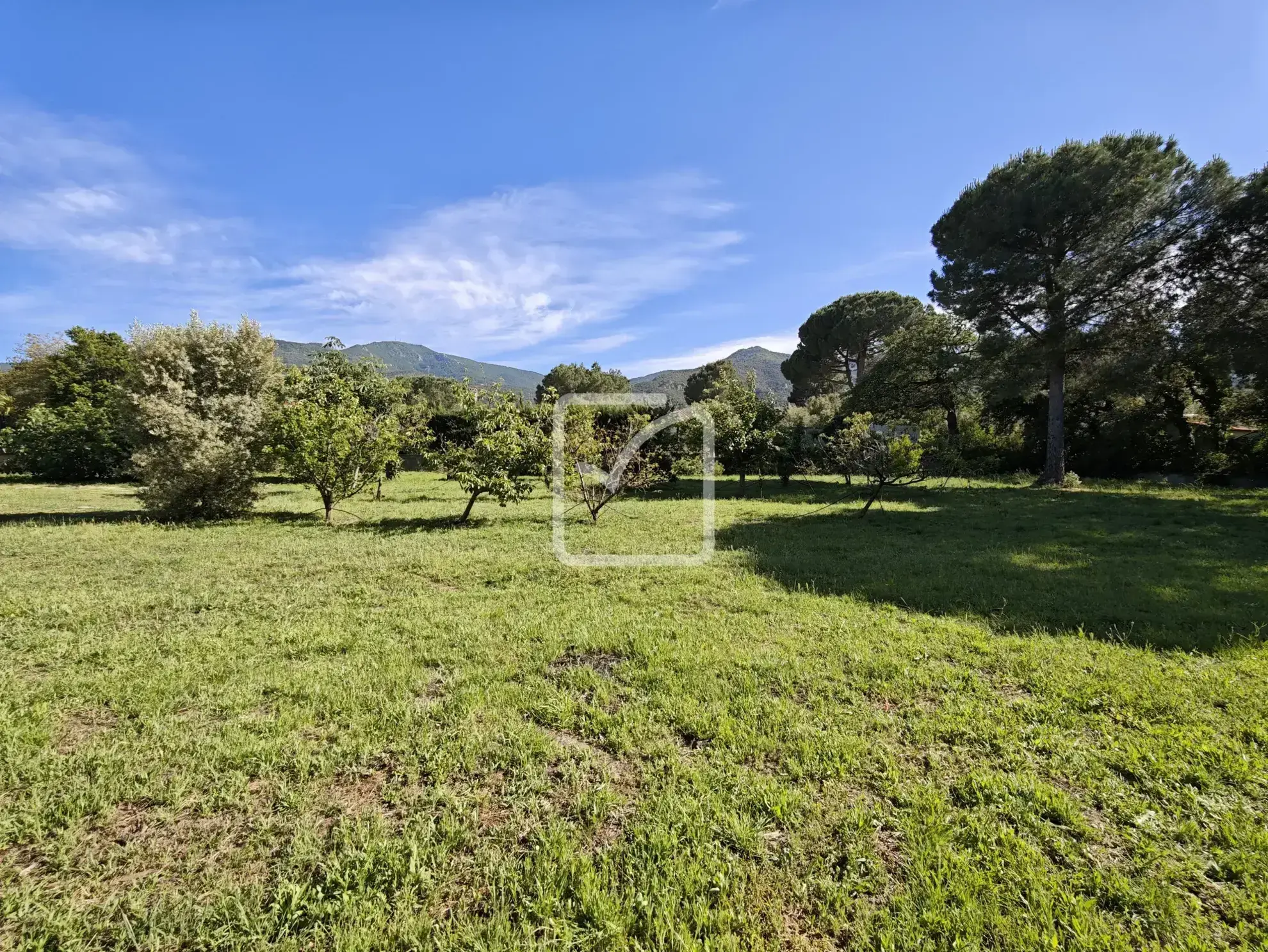 Terrain constructible de 1956 m² avec vue sur les Albères à Laroque des Albères