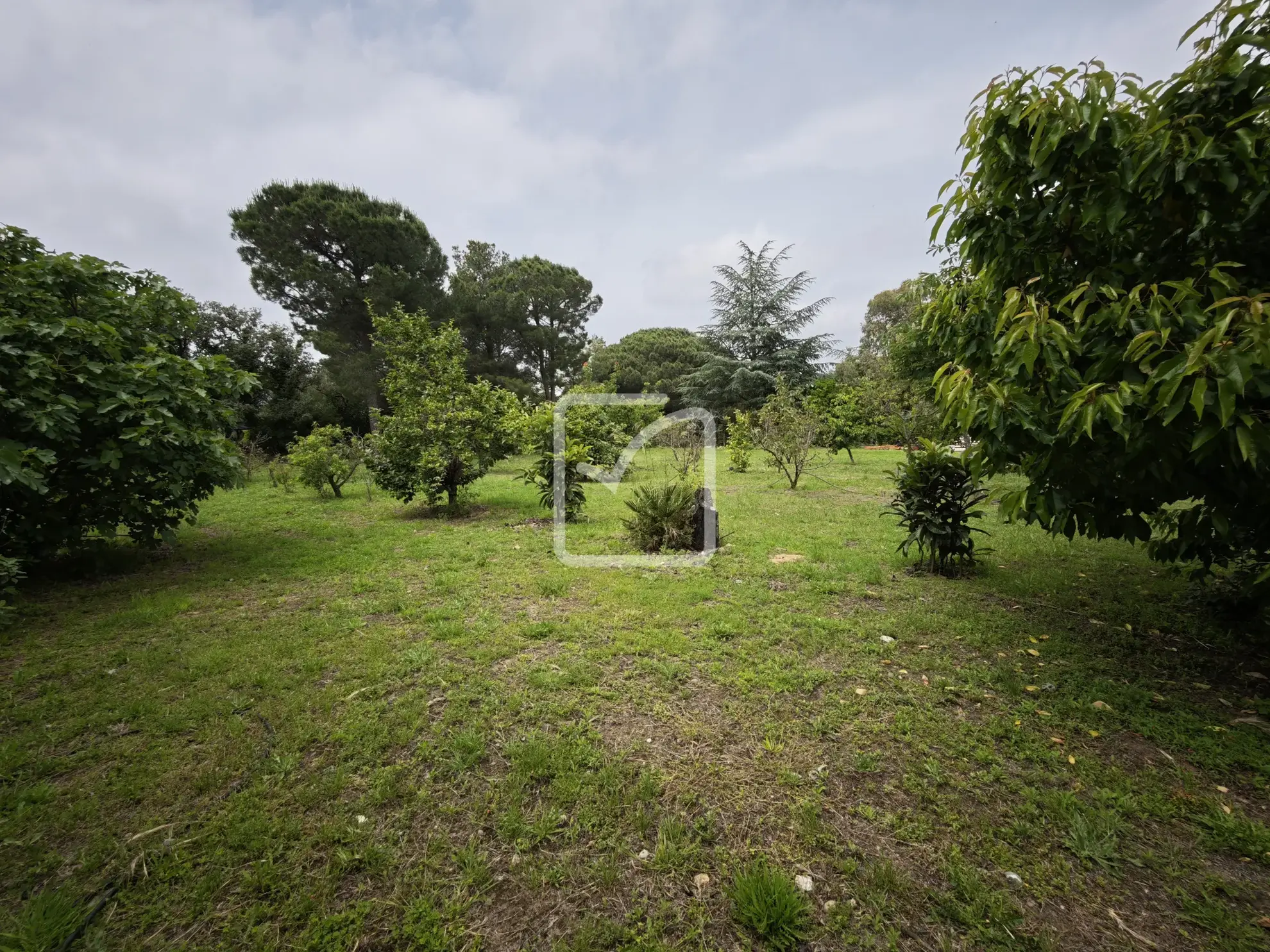 Terrain constructible de 1956 m² avec vue sur les Albères à Laroque des Albères 