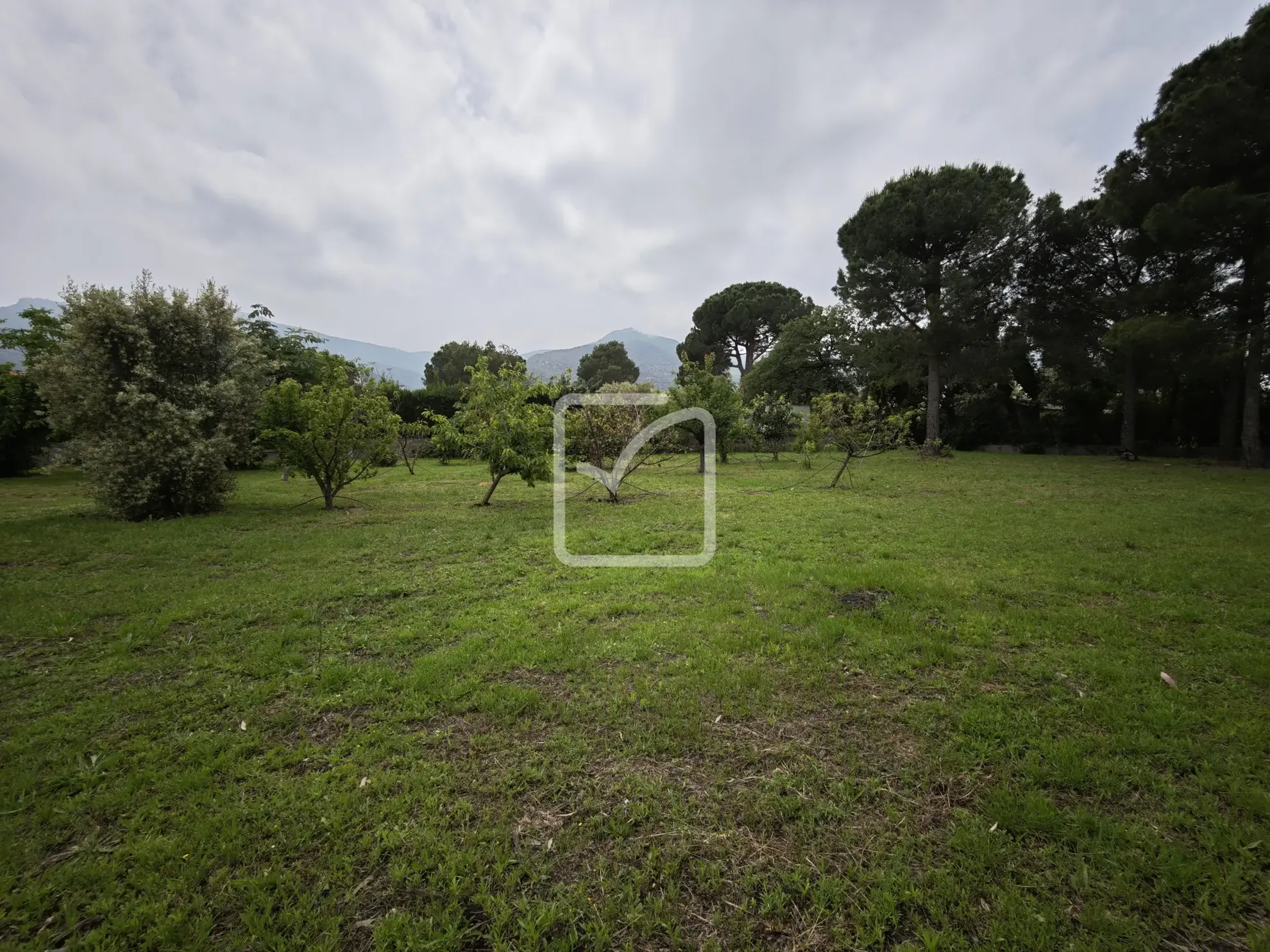 Terrain constructible de 1956 m² avec vue sur les Albères à Laroque des Albères 