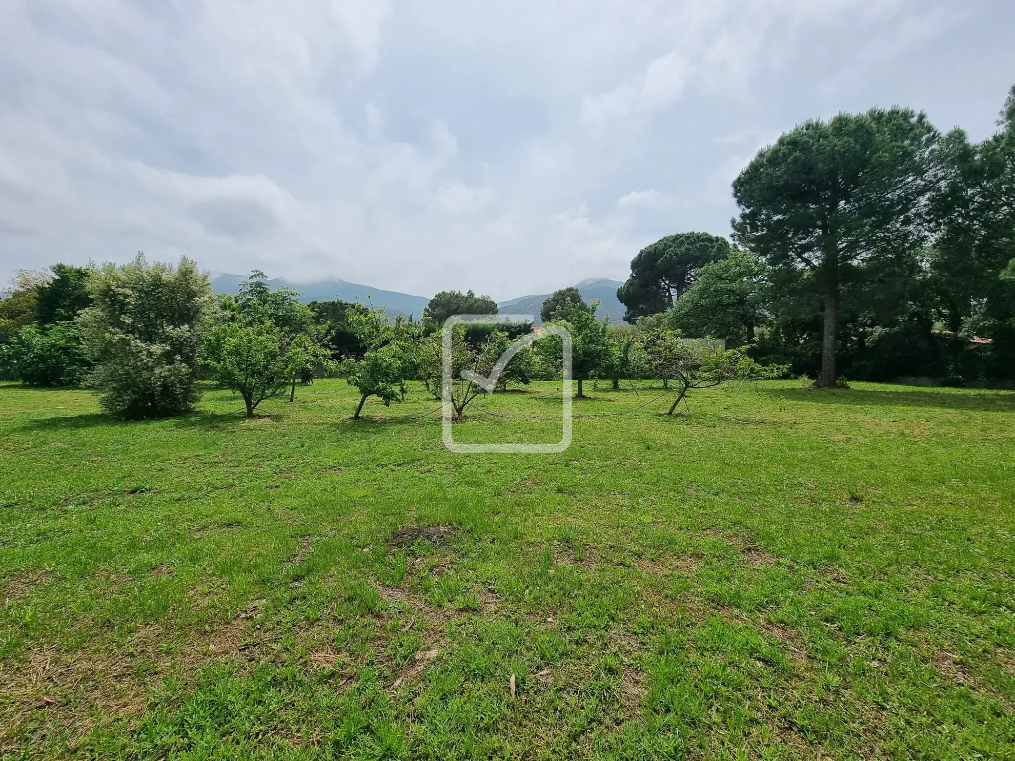 Terrain constructible de 1956 m² avec vue sur les Albères à Laroque des Albères 