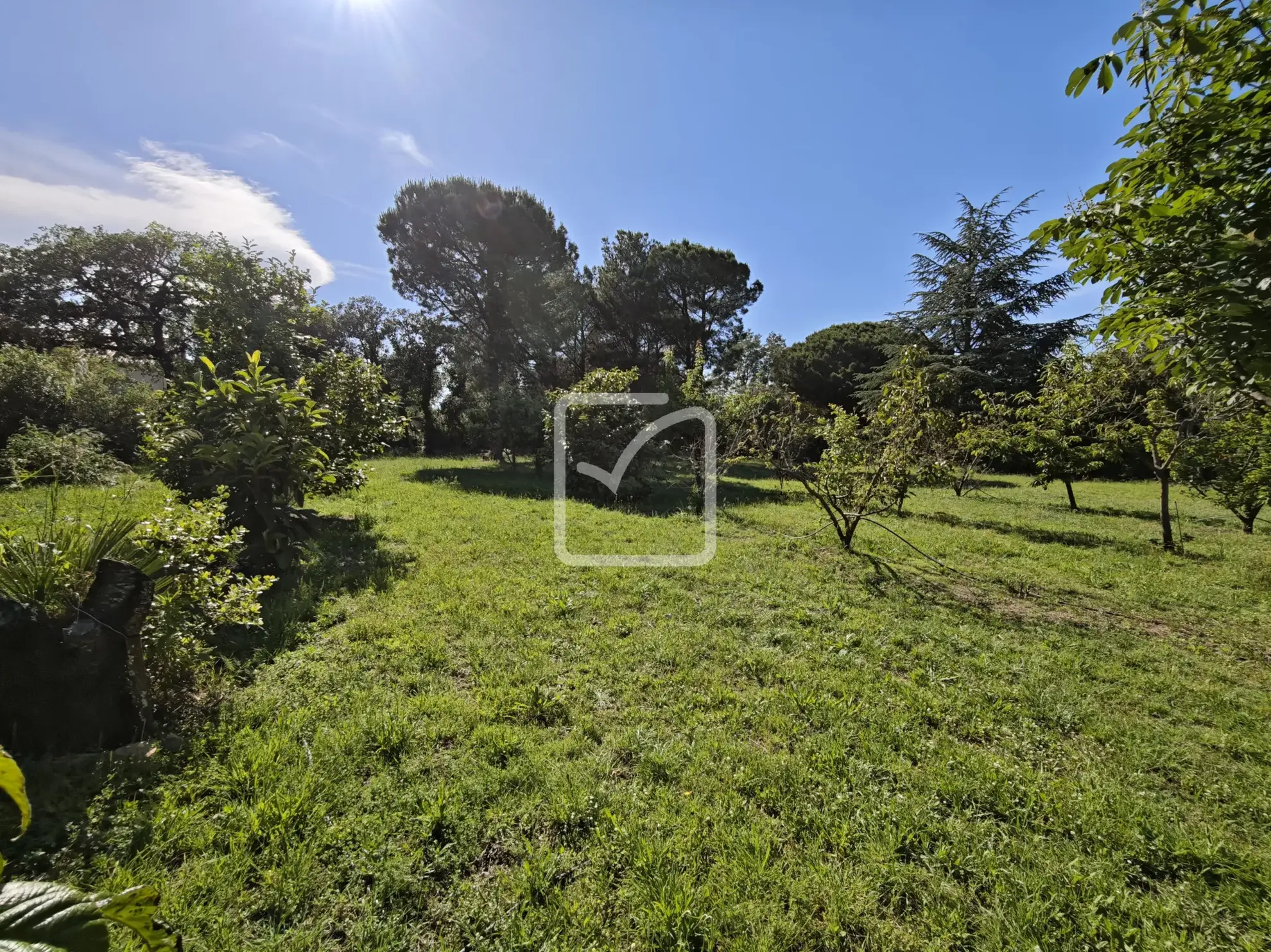 Terrain constructible de 1956 m² avec vue sur les Albères à Laroque des Albères 