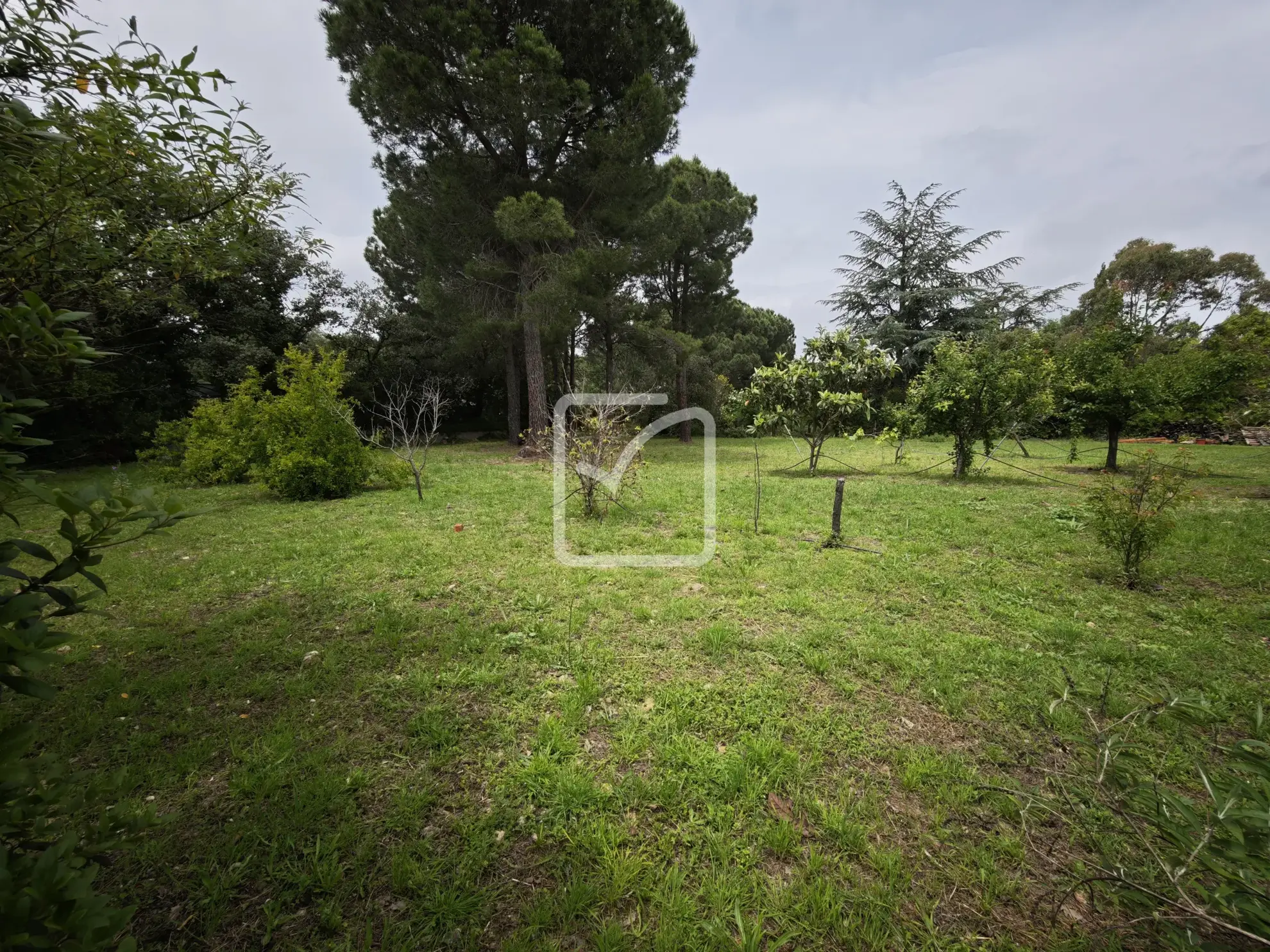 Terrain constructible de 1956 m² avec vue sur les Albères à Laroque des Albères 