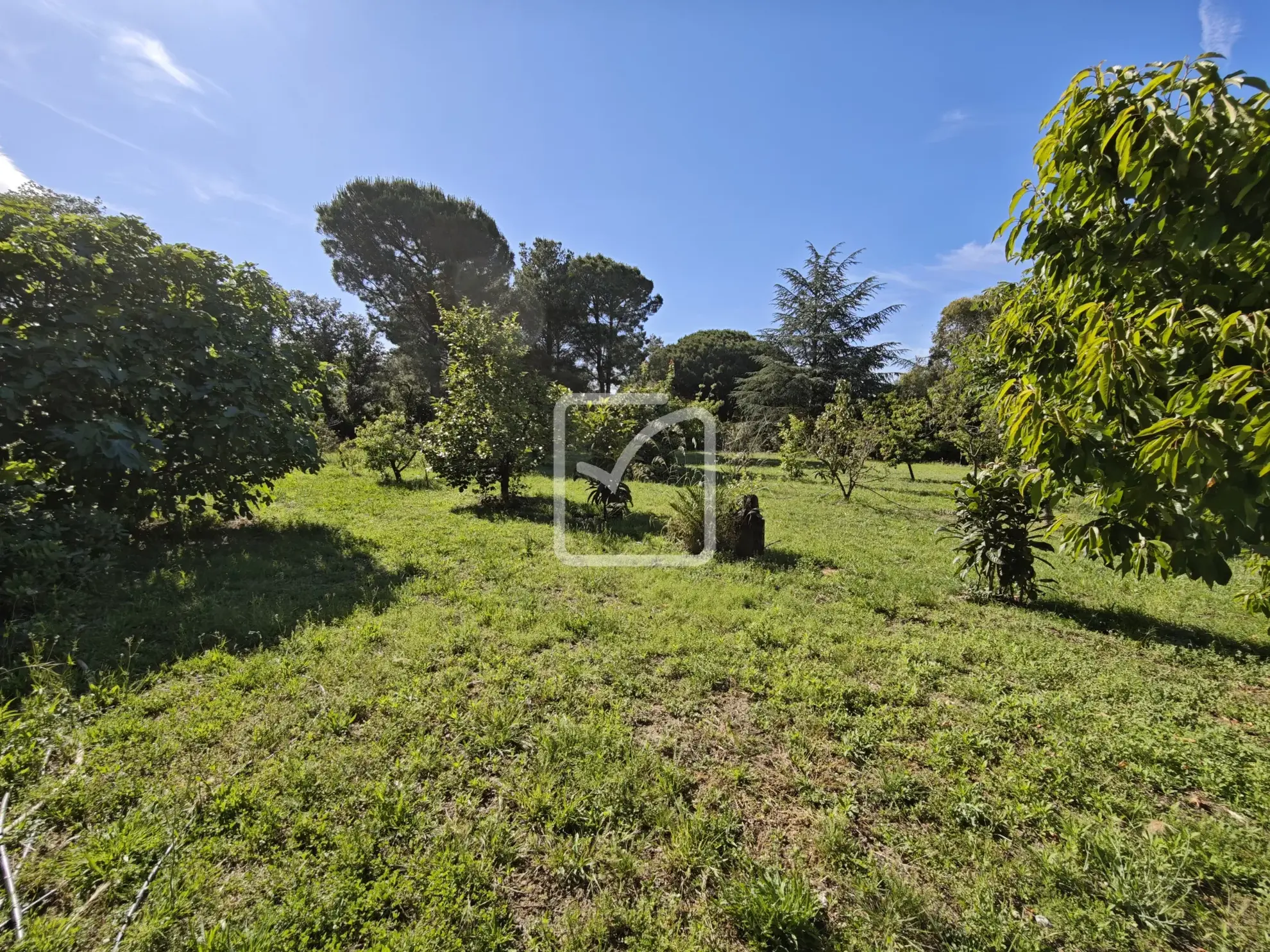 Terrain constructible de 1956 m² avec vue sur les Albères à Laroque des Albères 