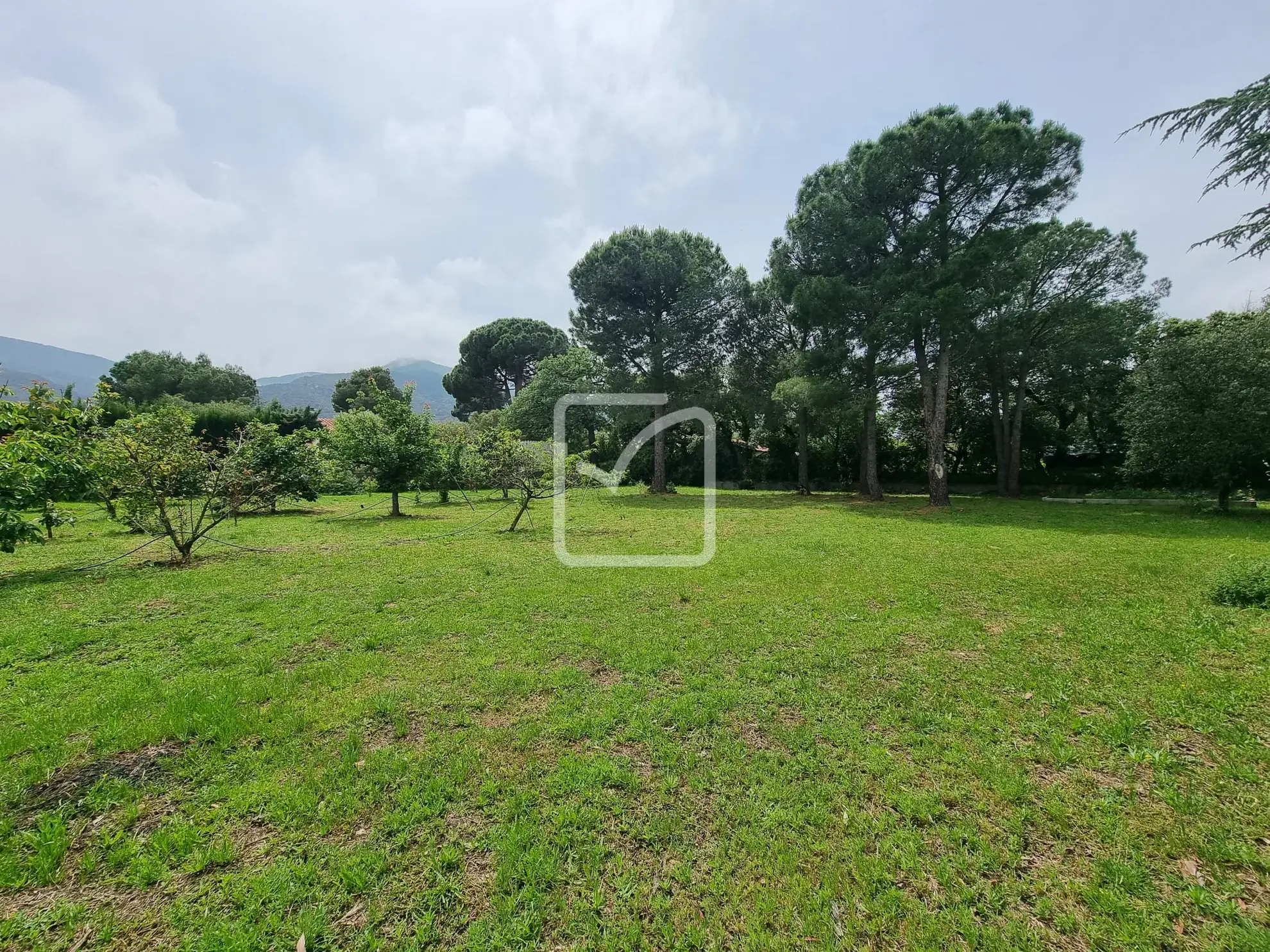 Terrain constructible de 1956 m² avec vue sur les Albères à Laroque des Albères 